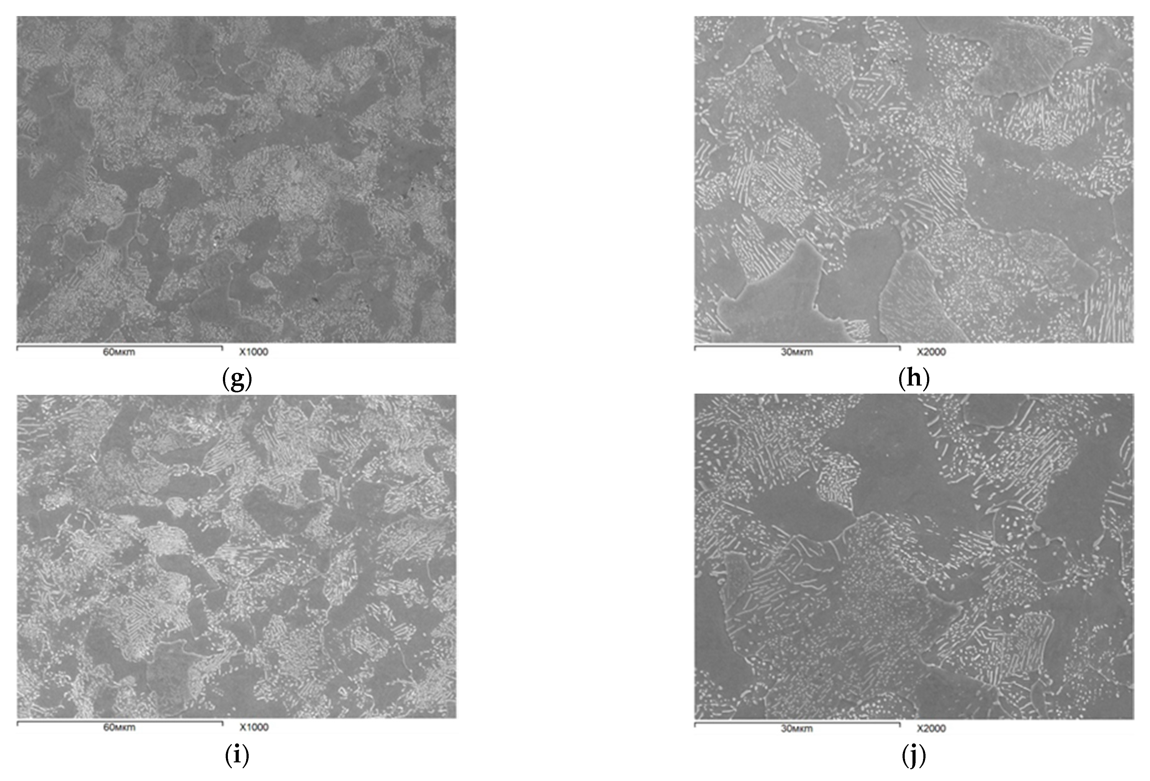 Metals 12 00366 g004b