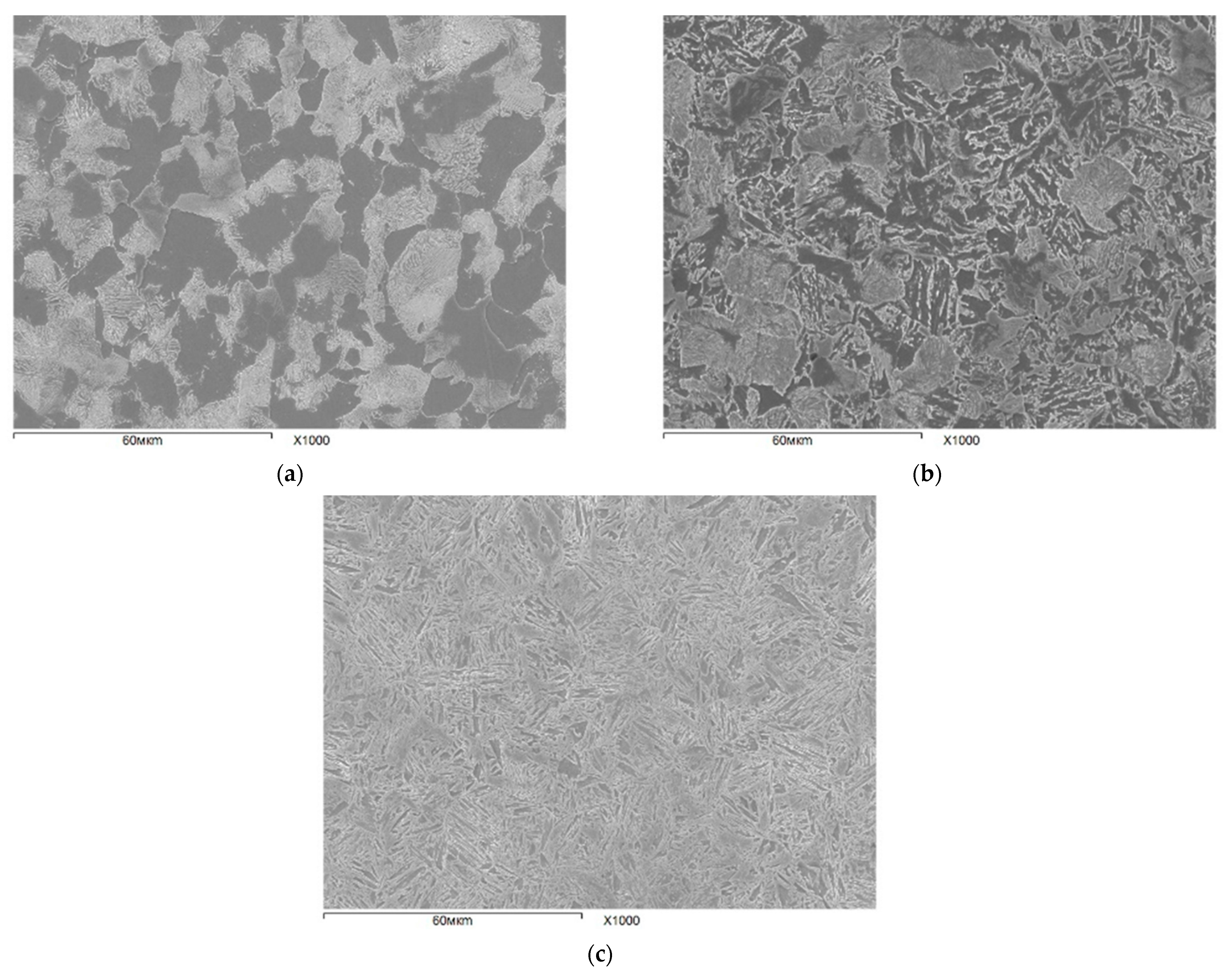 Metals 12 00366 g005