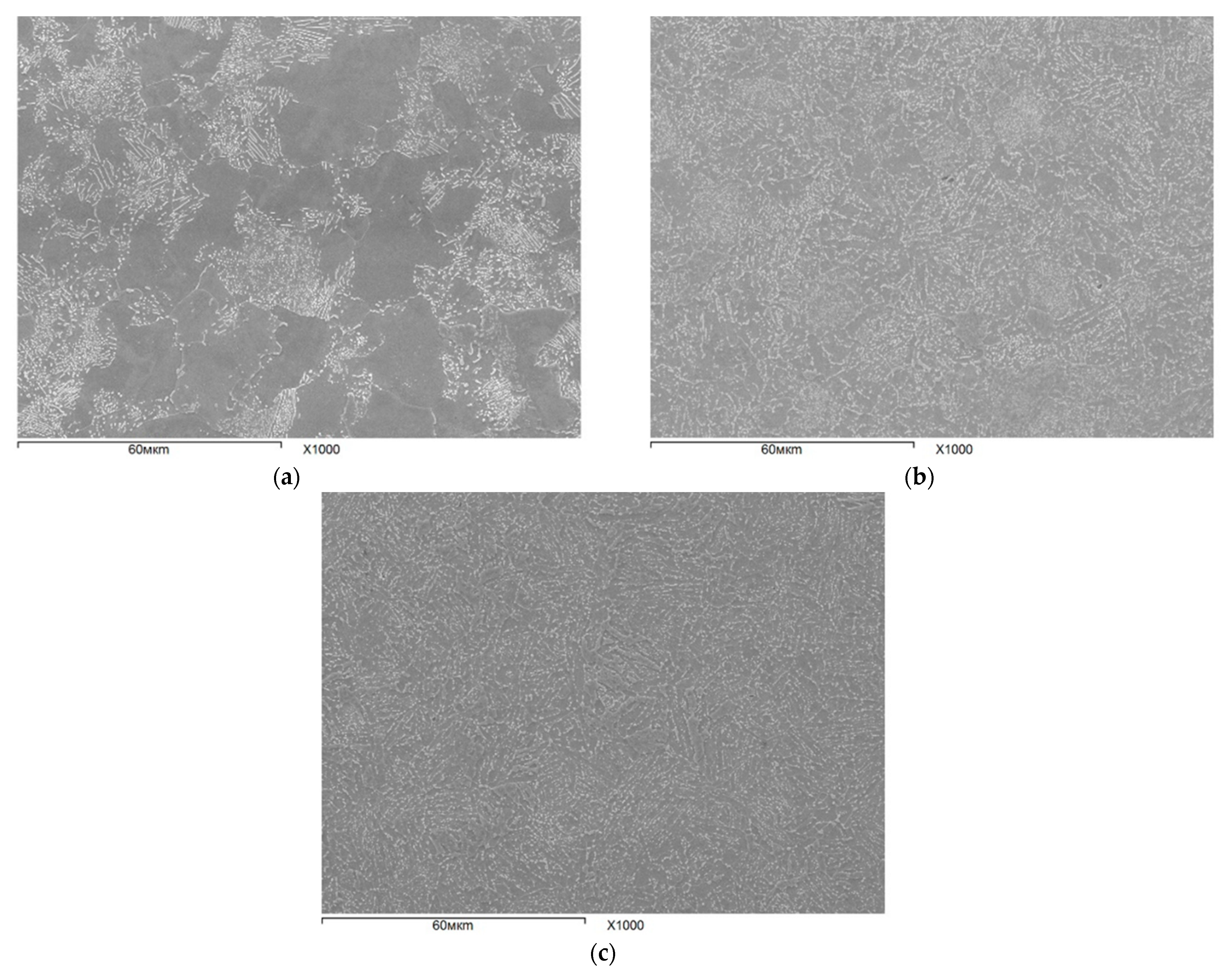 Metals 12 00366 g006