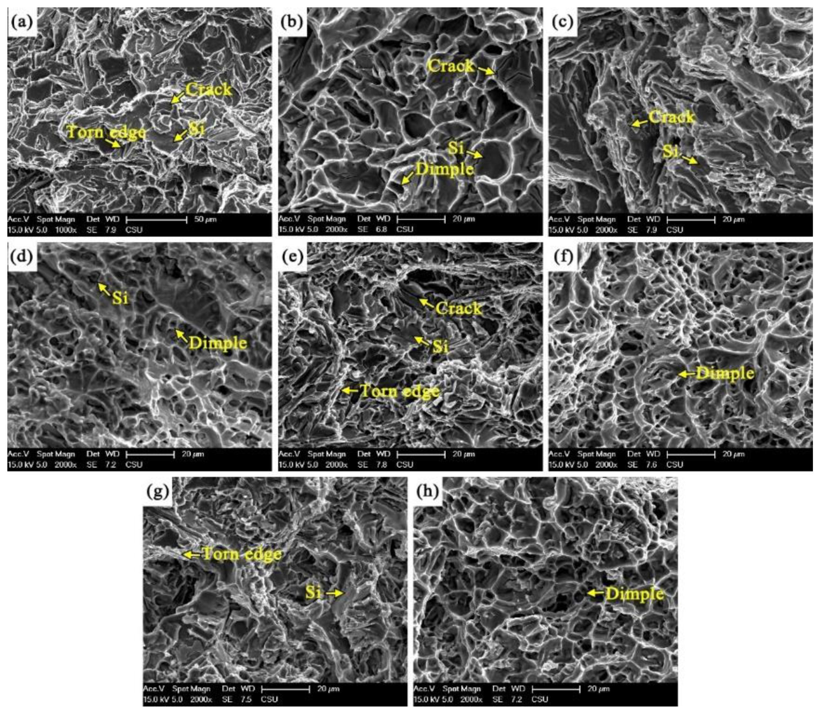 Metals 12 00377 g010