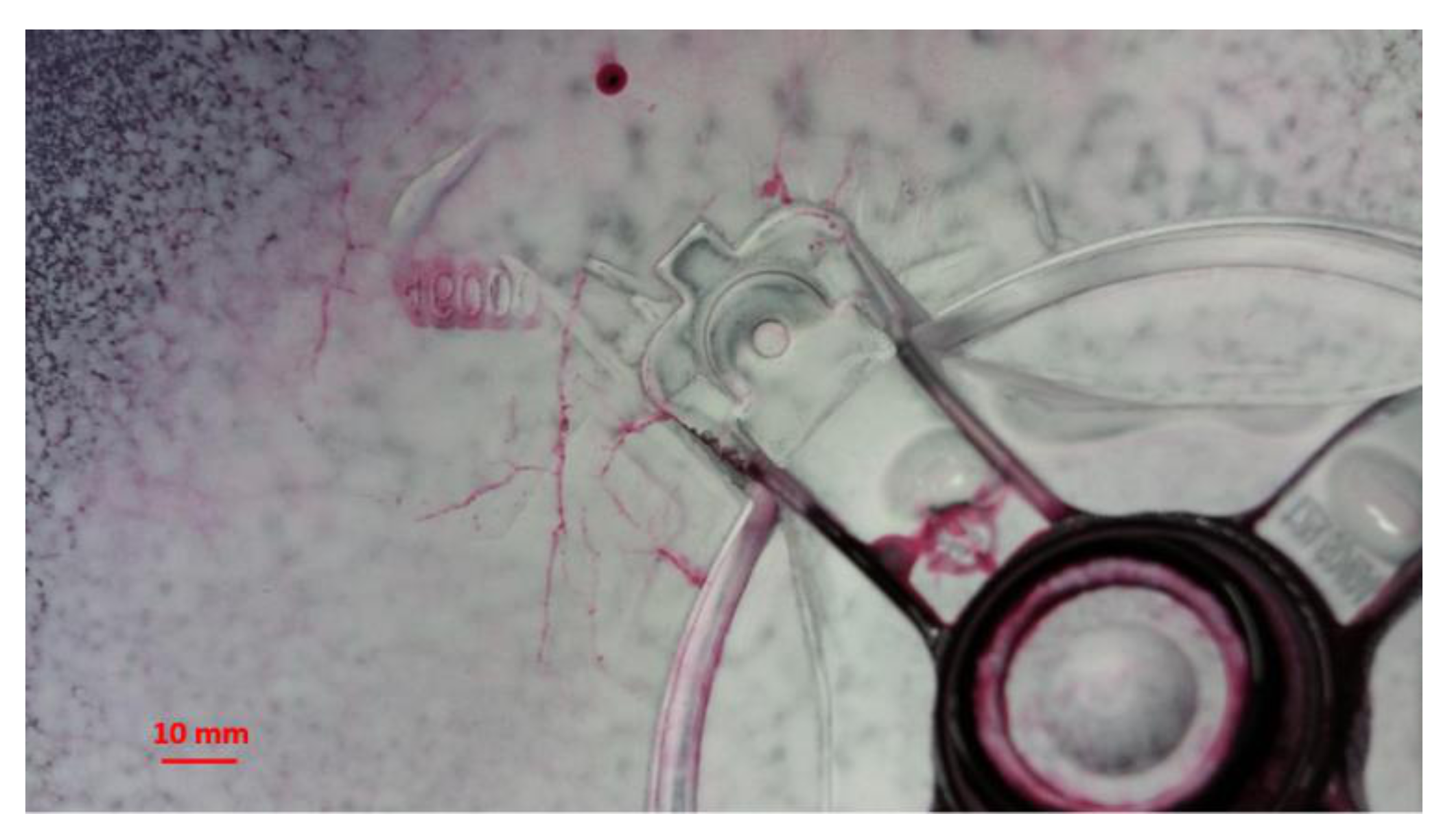 Metals 12 00388 g001