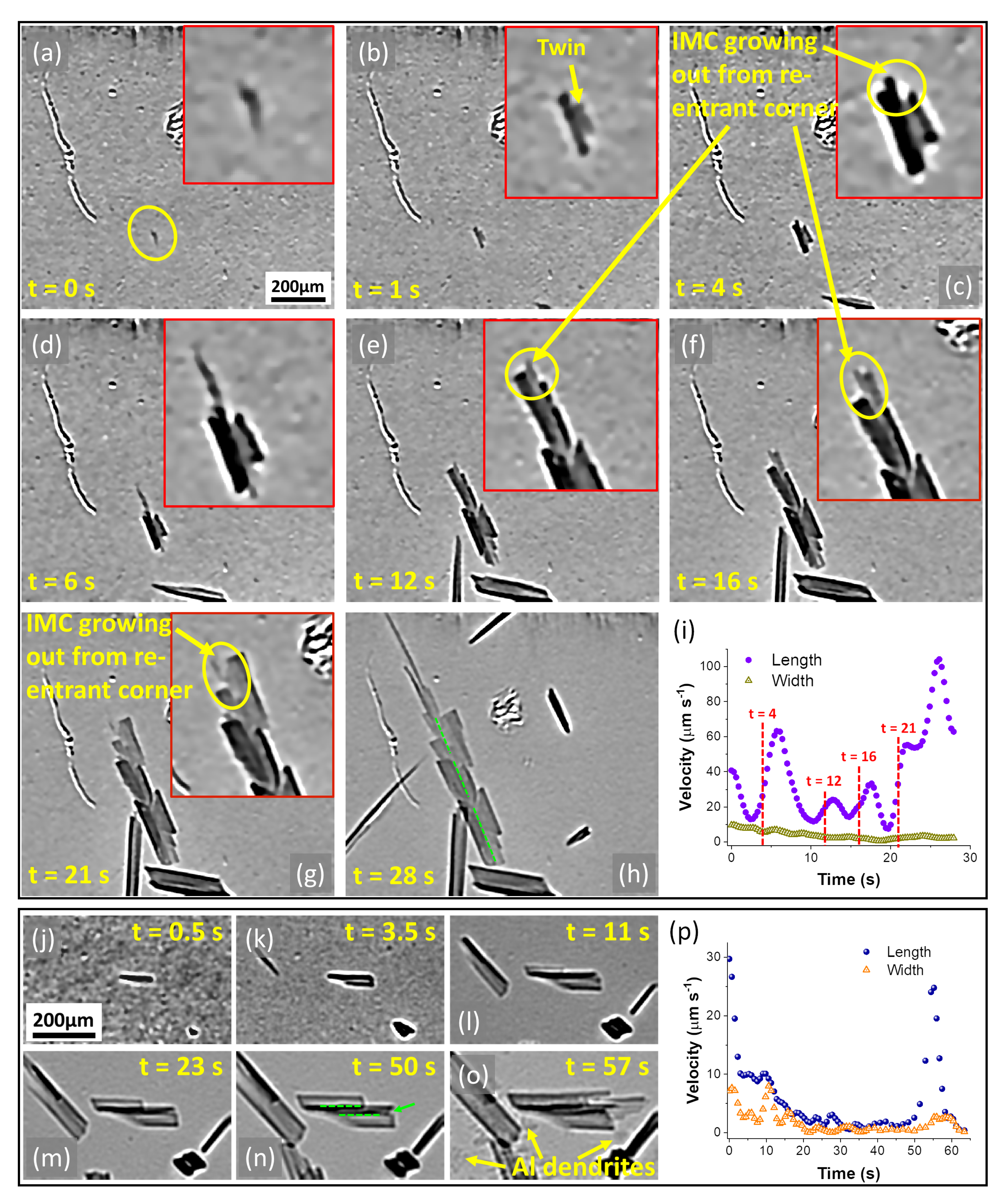 Metals 12 00395 g008