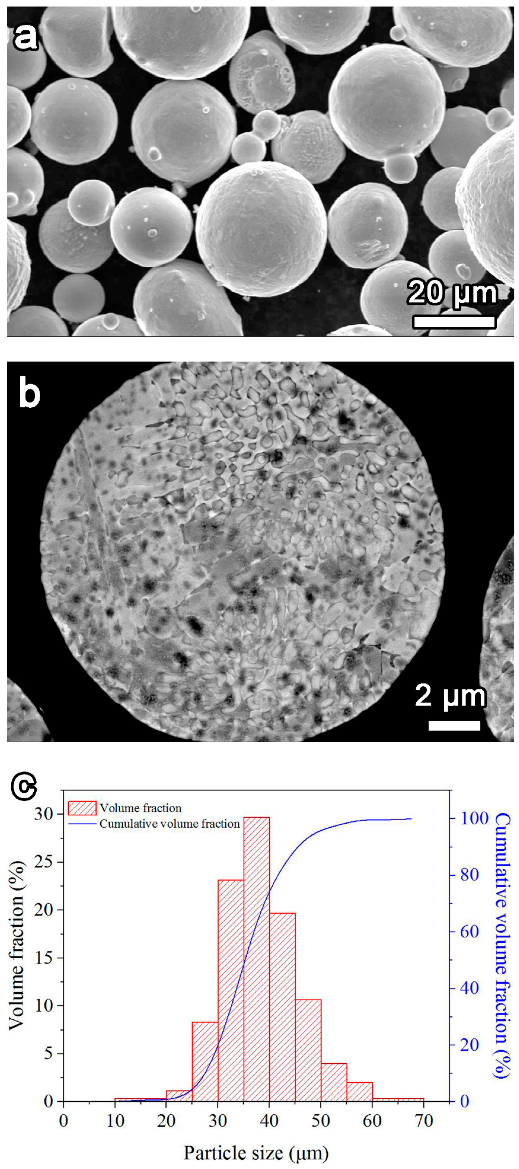 Metals 12 00396 g001