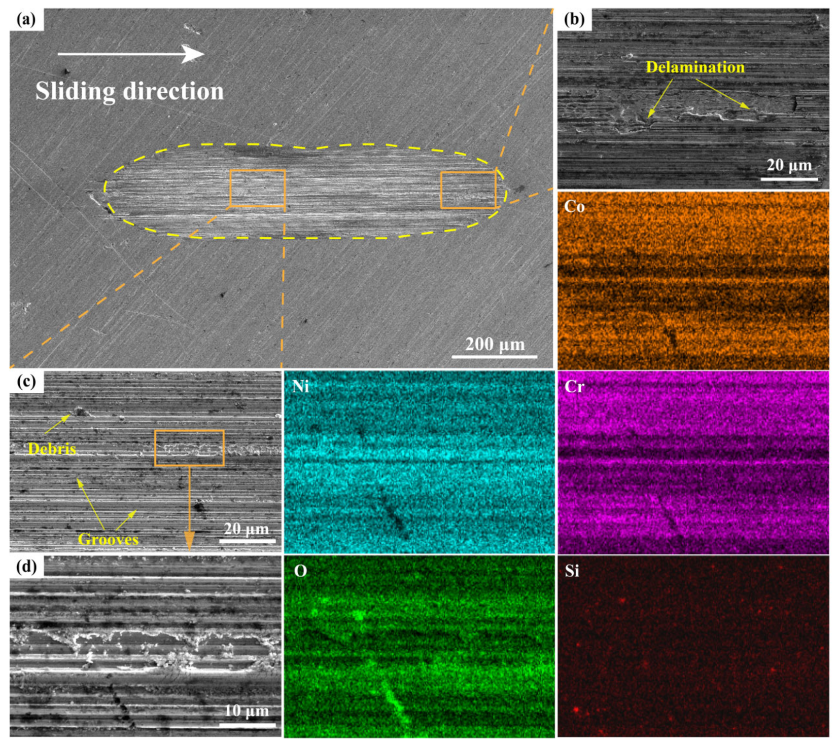 Metals 12 00401 g008
