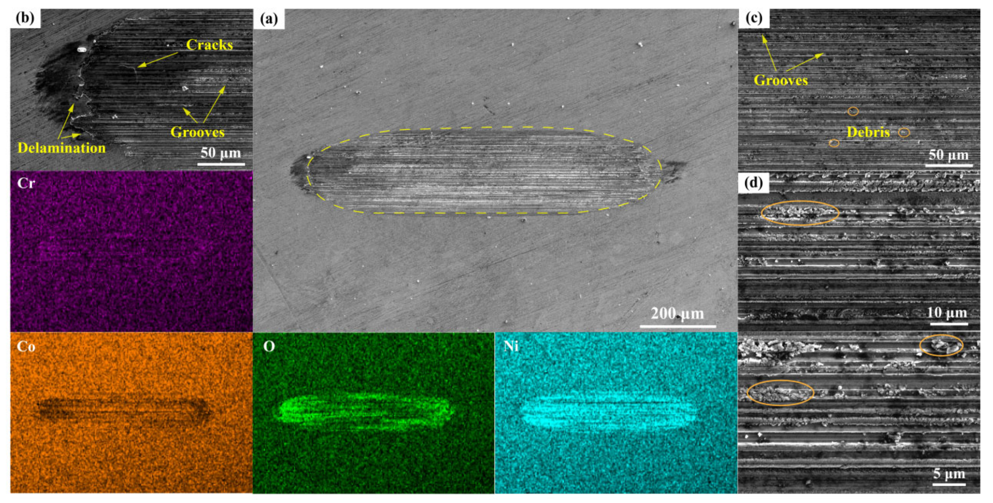 Metals 12 00401 g010