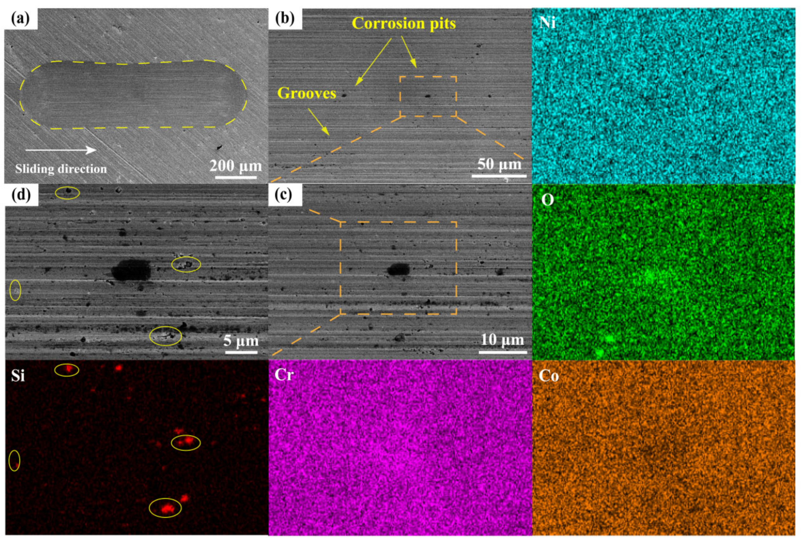 Metals 12 00401 g012
