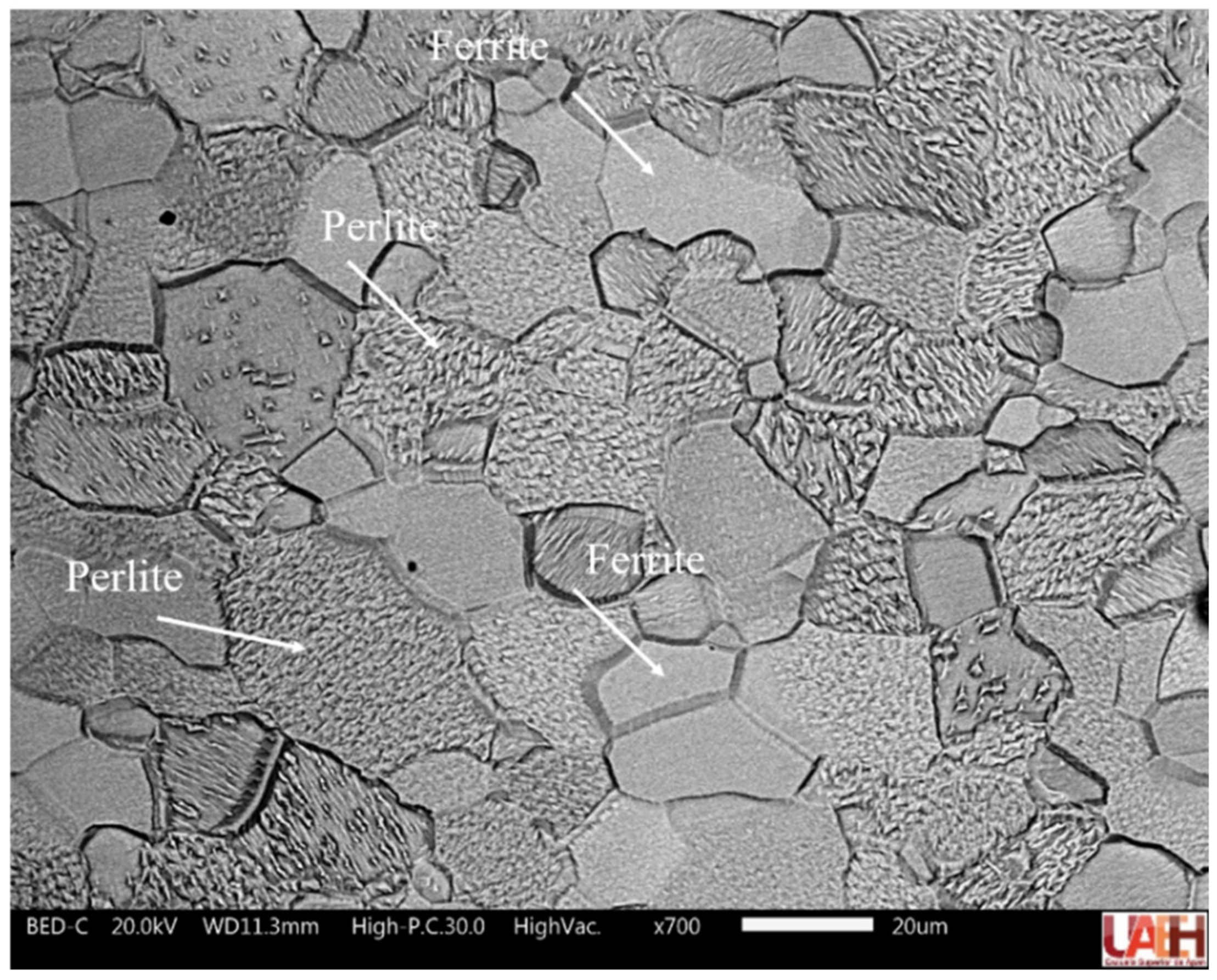 Metals 12 00404 g006