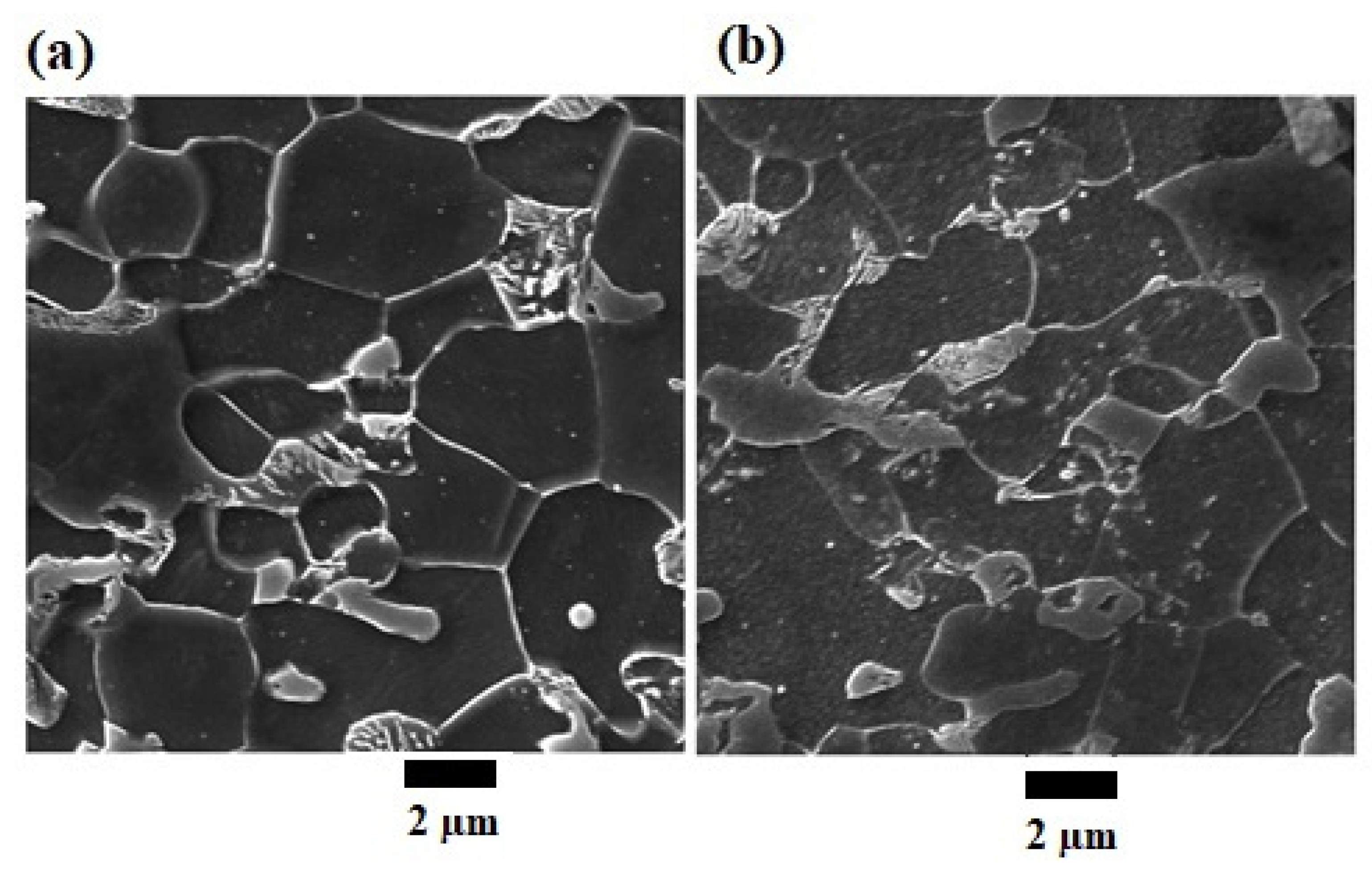 Metals 12 00414 g001