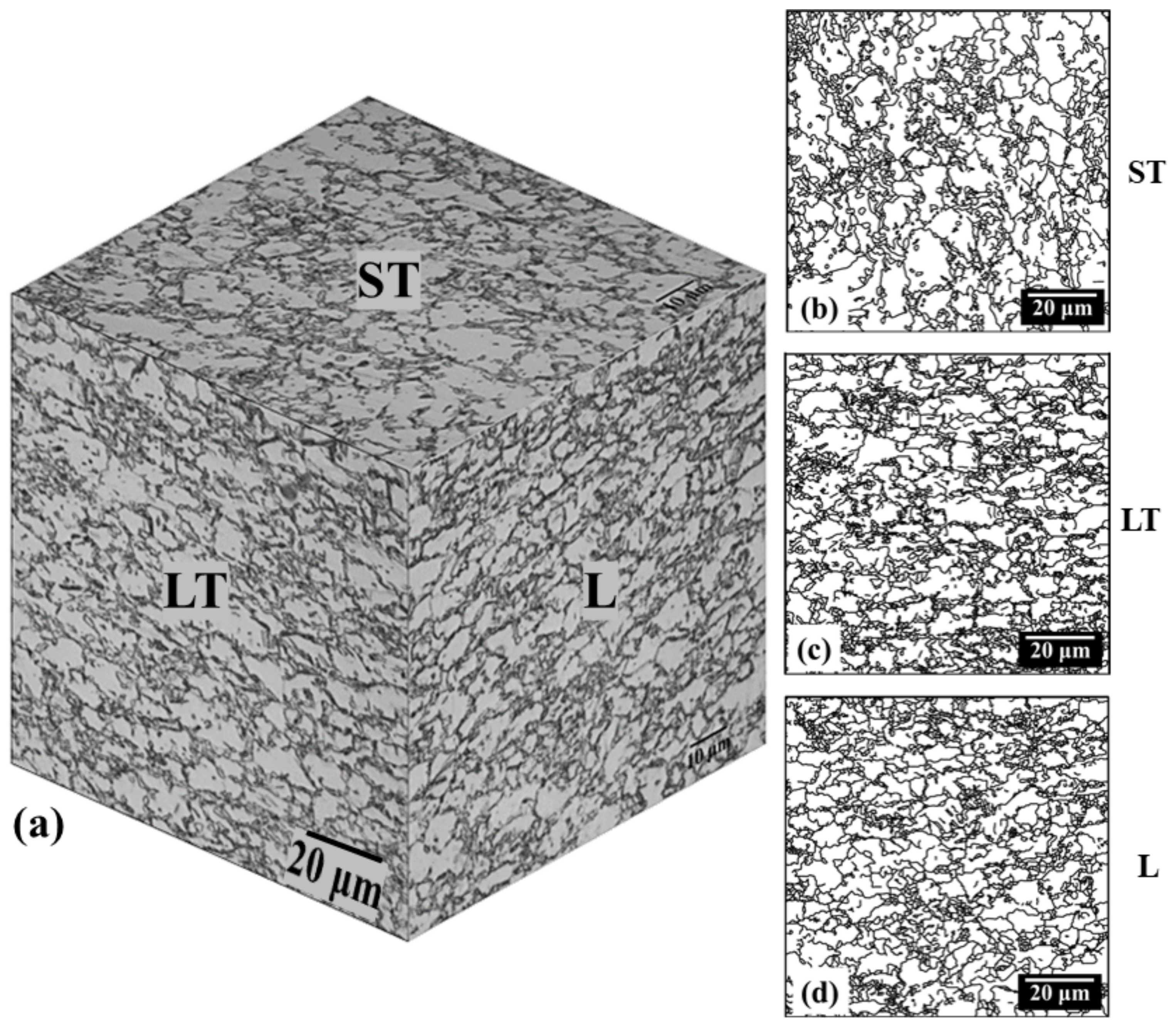 Metals 12 00419 g003