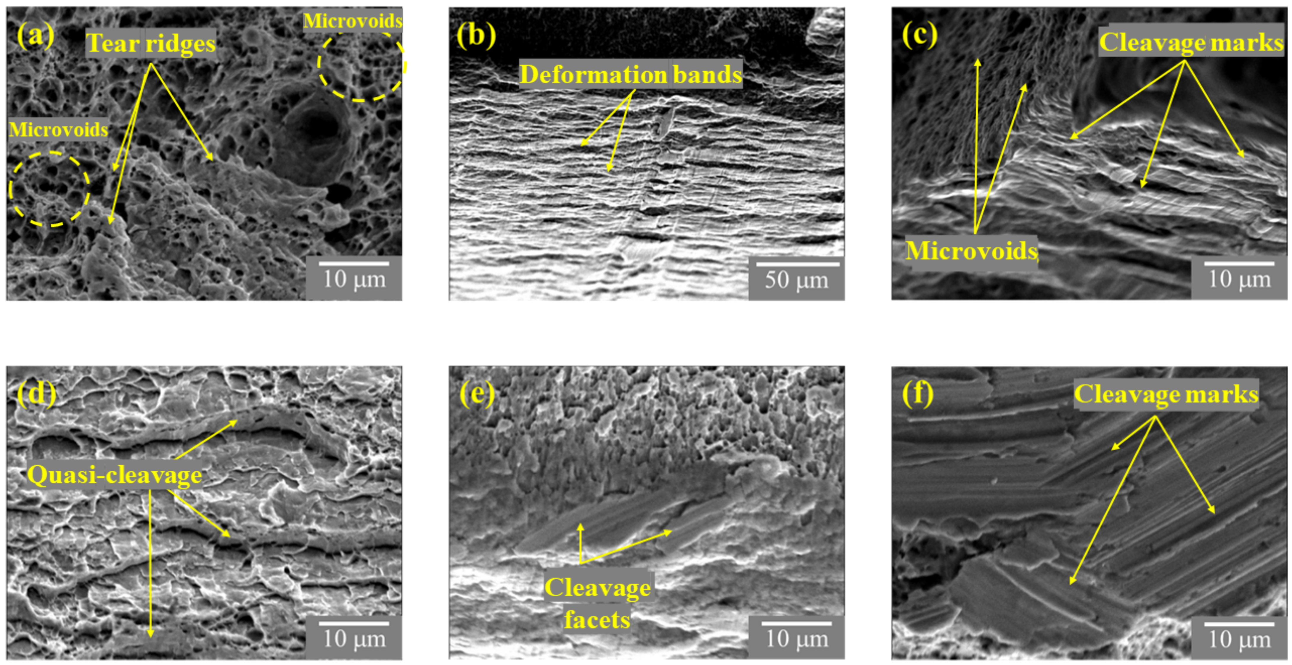 Metals 12 00419 g017