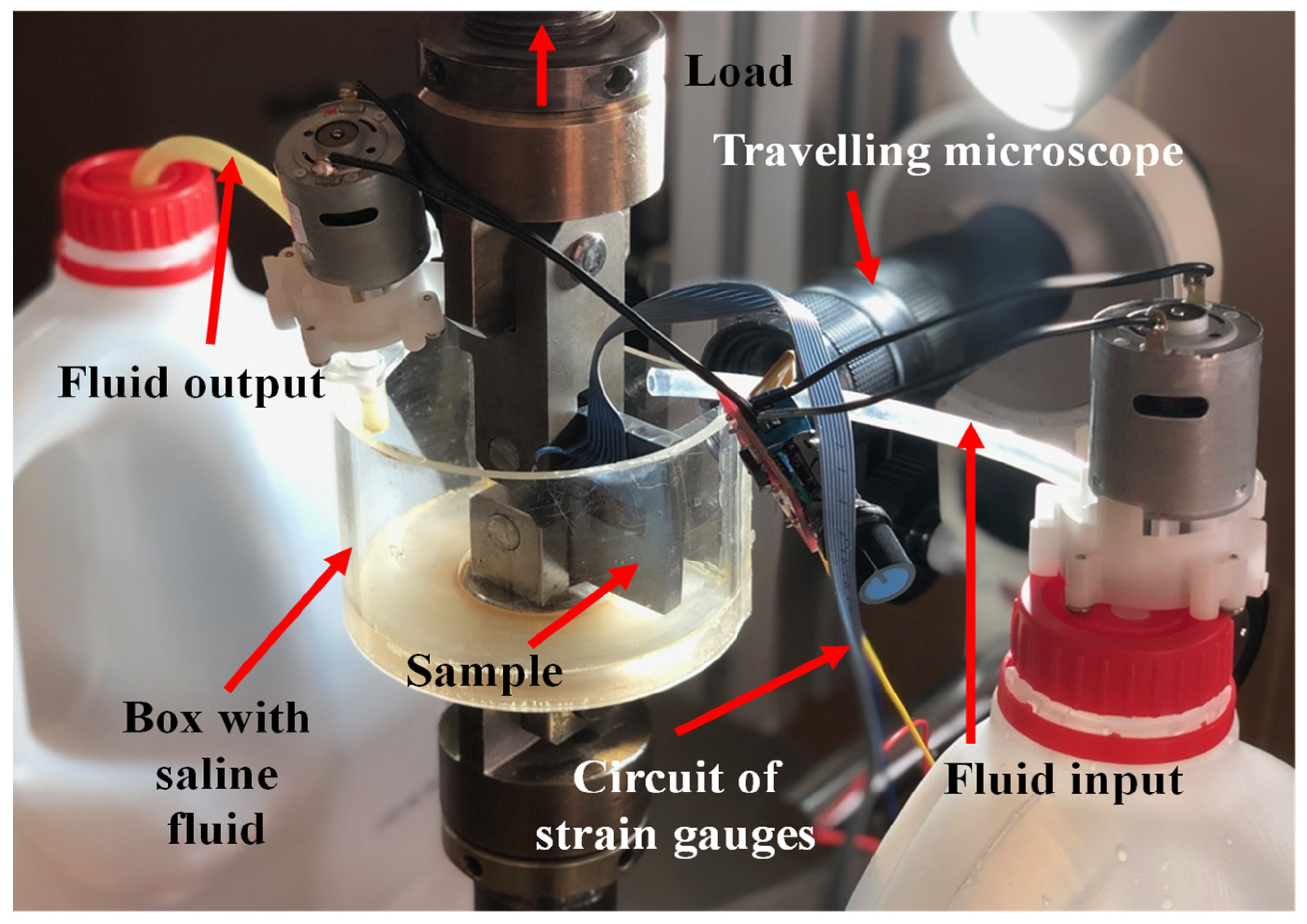 Metals 12 00433 g004