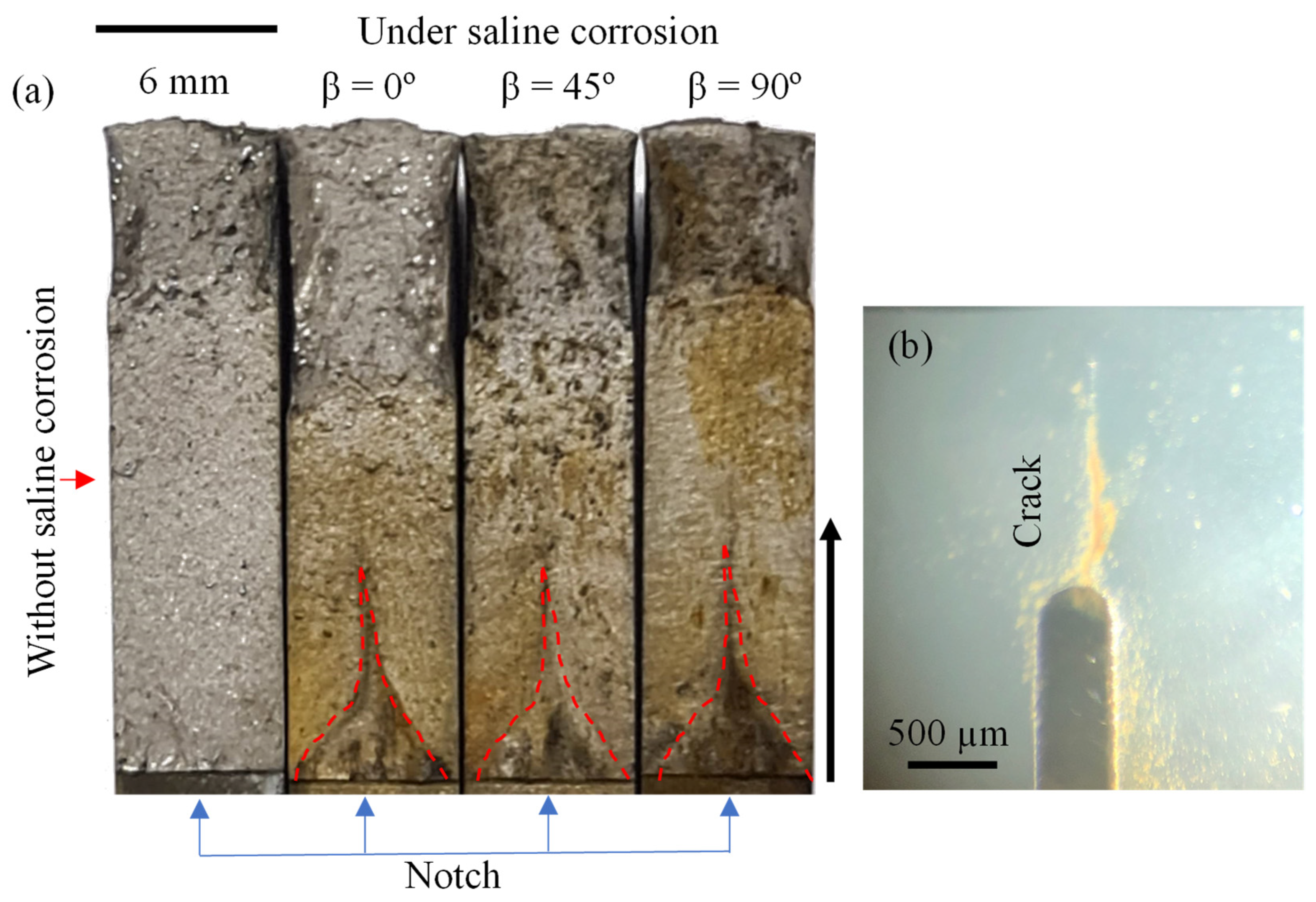 Metals 12 00433 g009