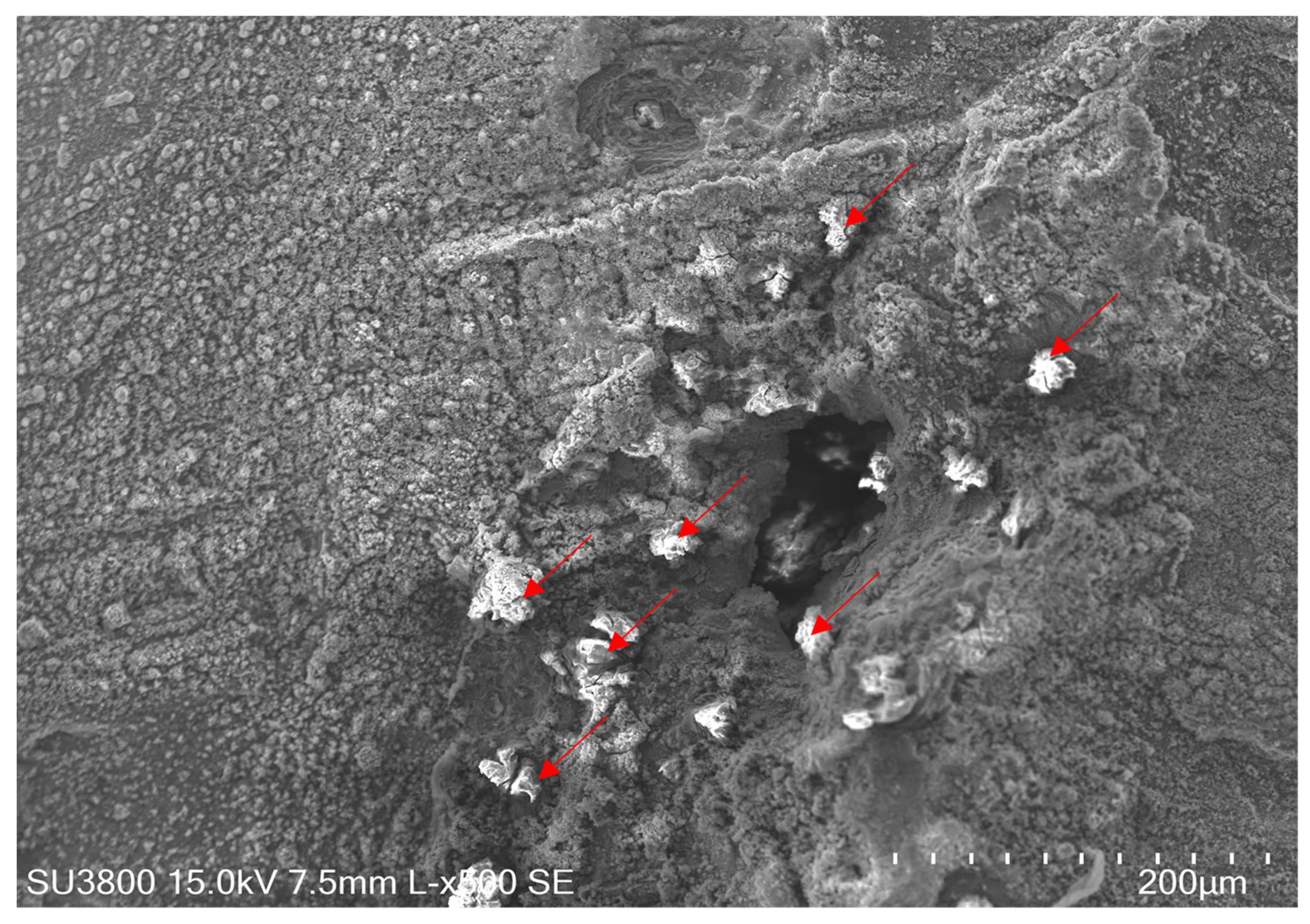 Metals 12 00433 g010