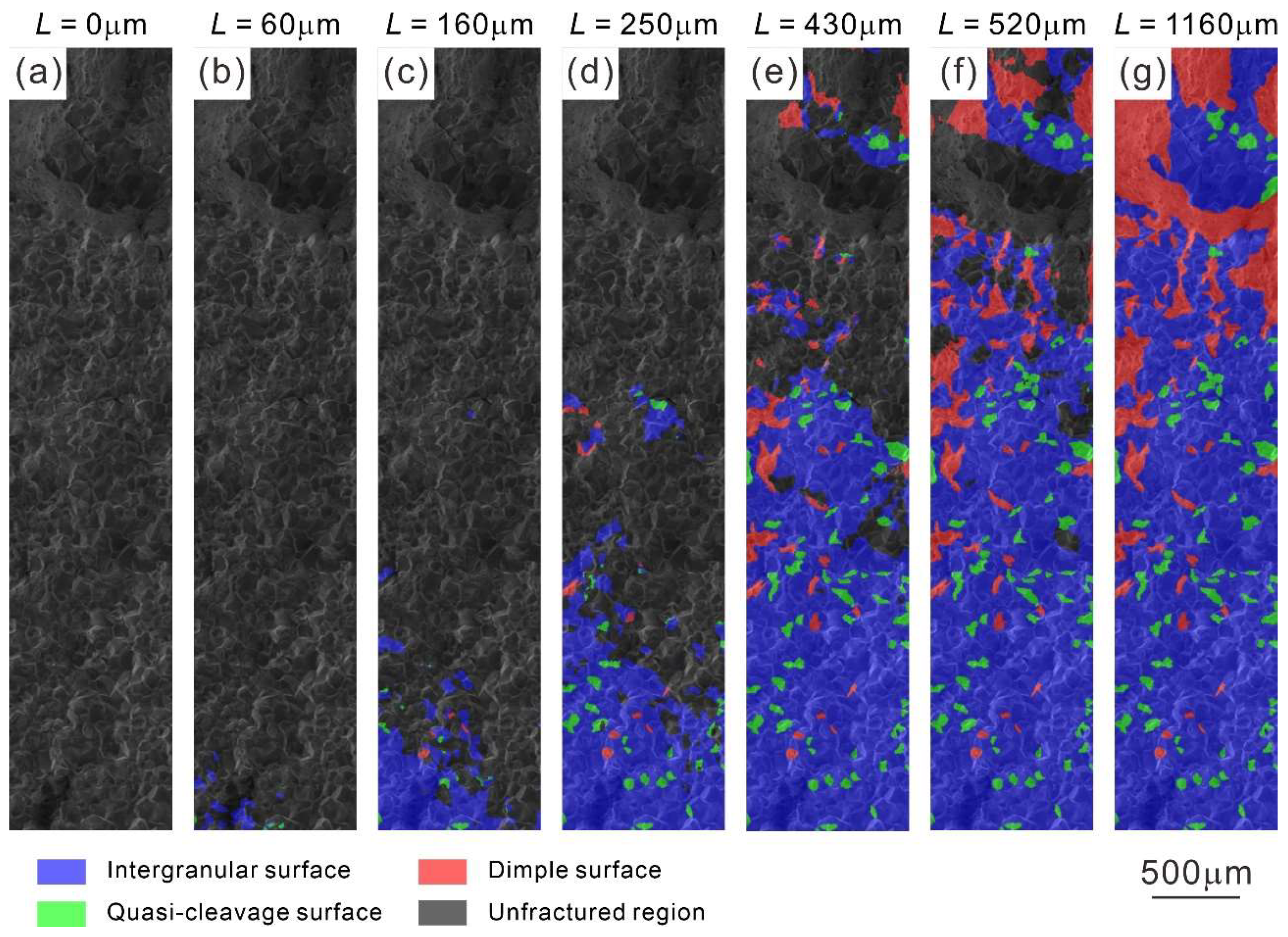 Metals 12 00440 g004