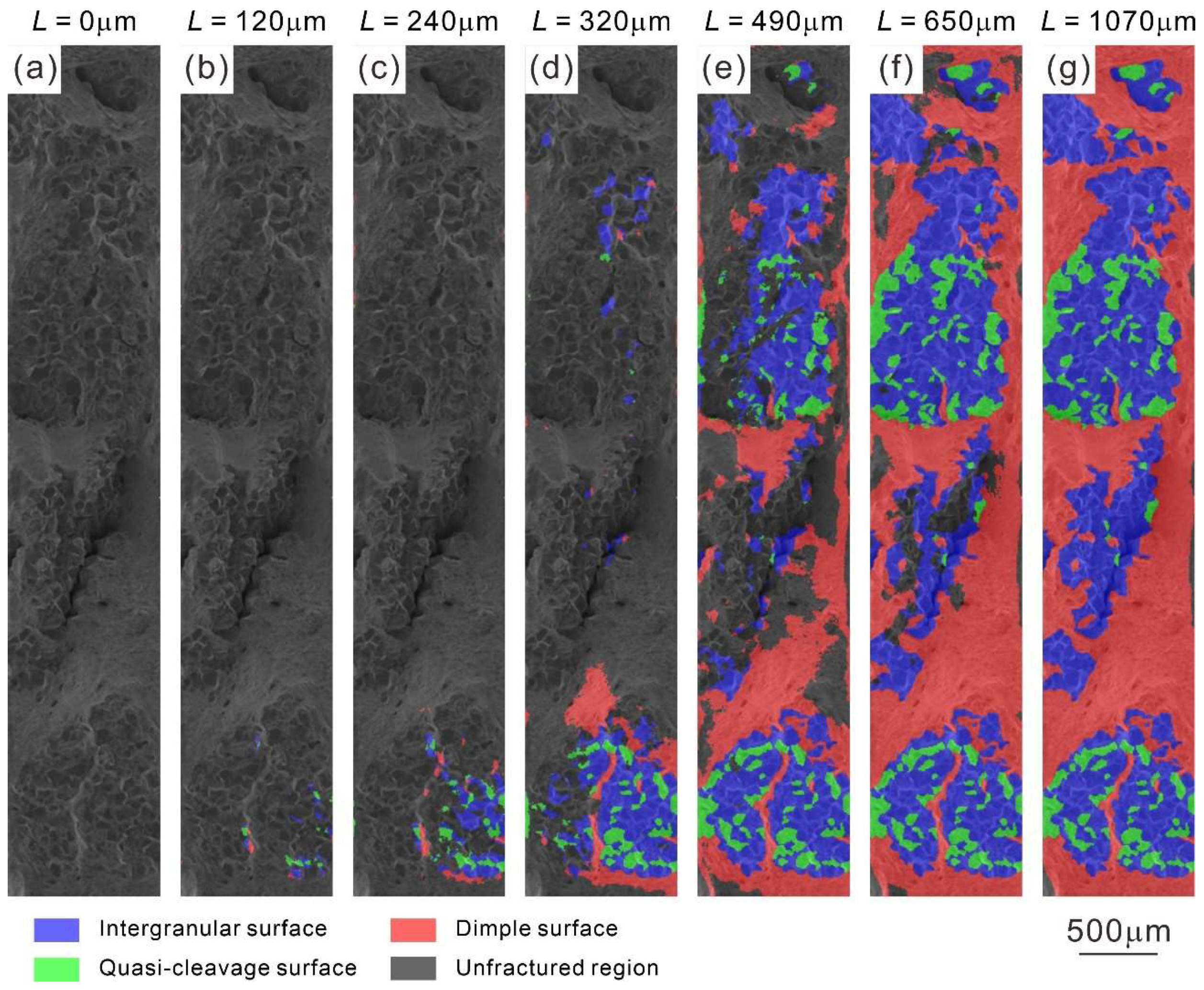 Metals 12 00440 g005