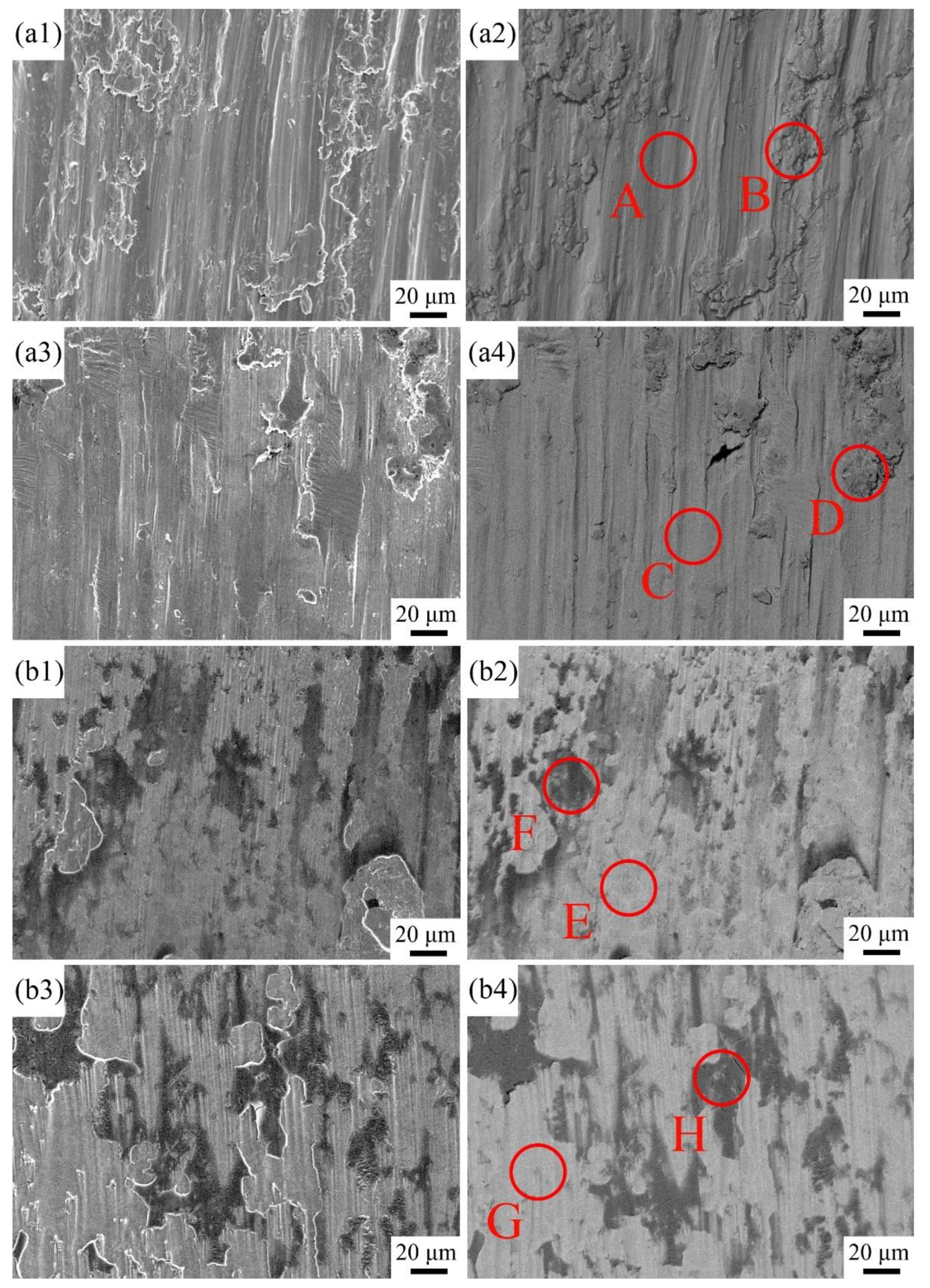 Metals 12 00460 g012