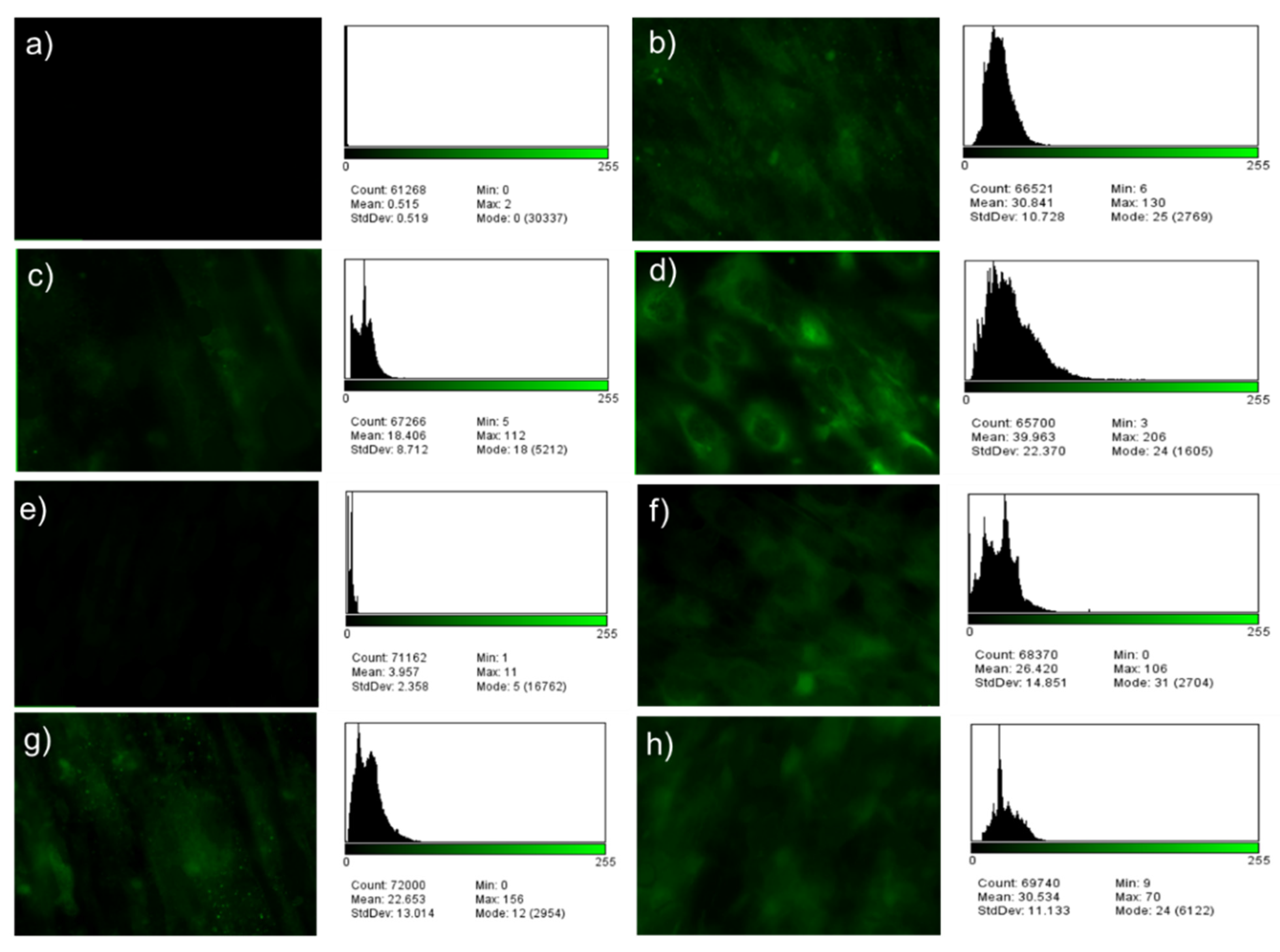 Metals 12 00476 g013