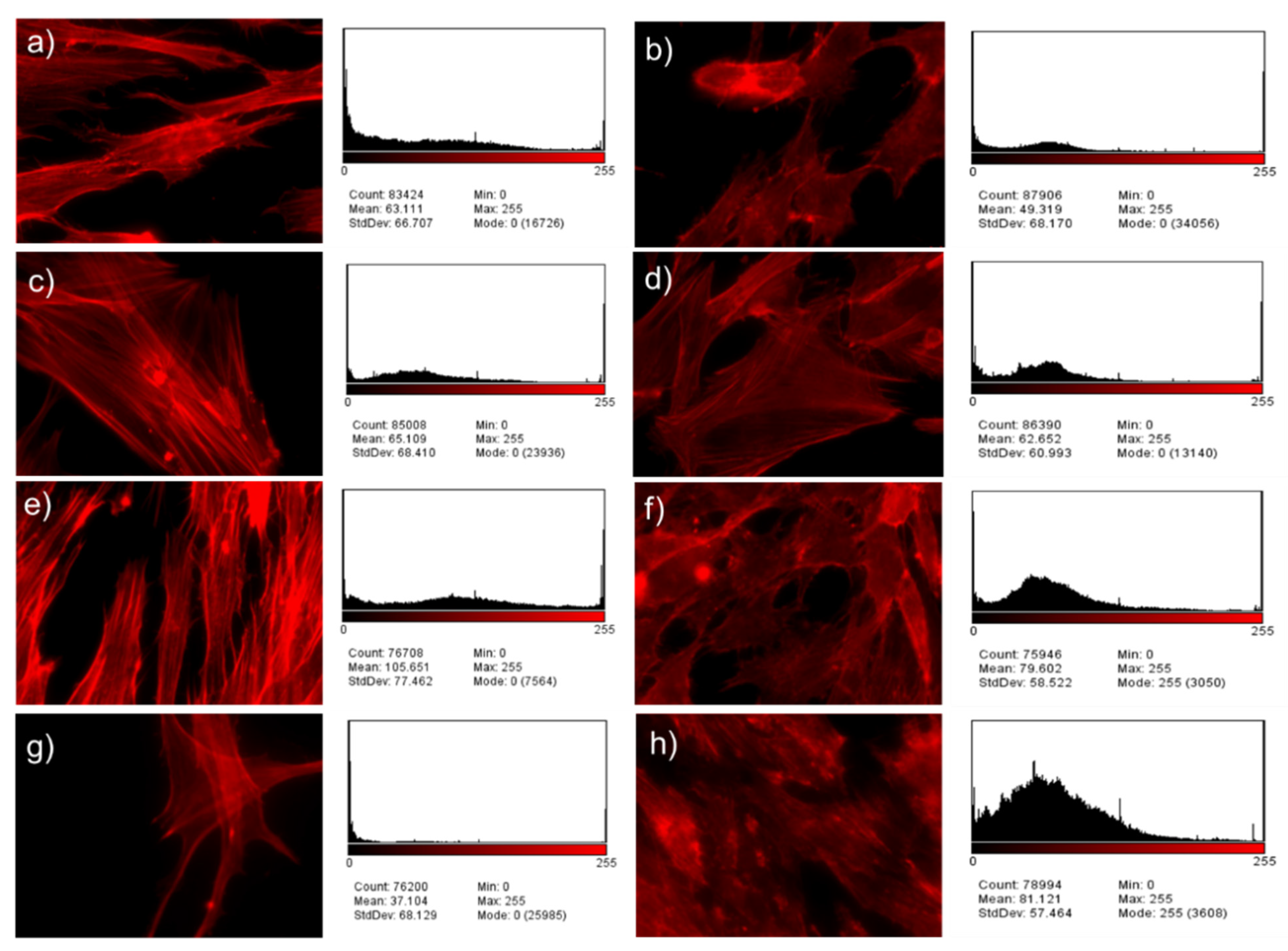 Metals 12 00476 g017
