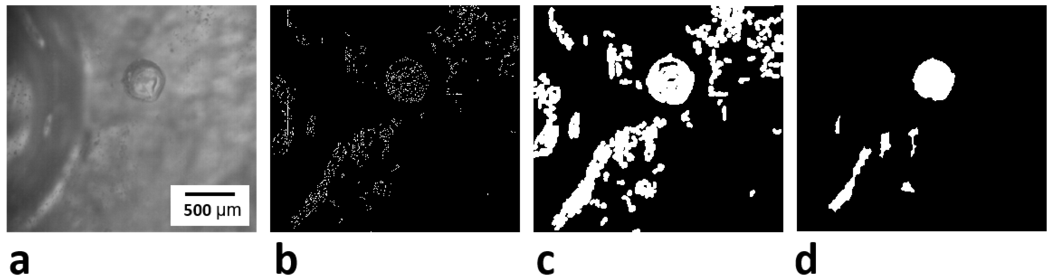 Metals 12 00531 g006