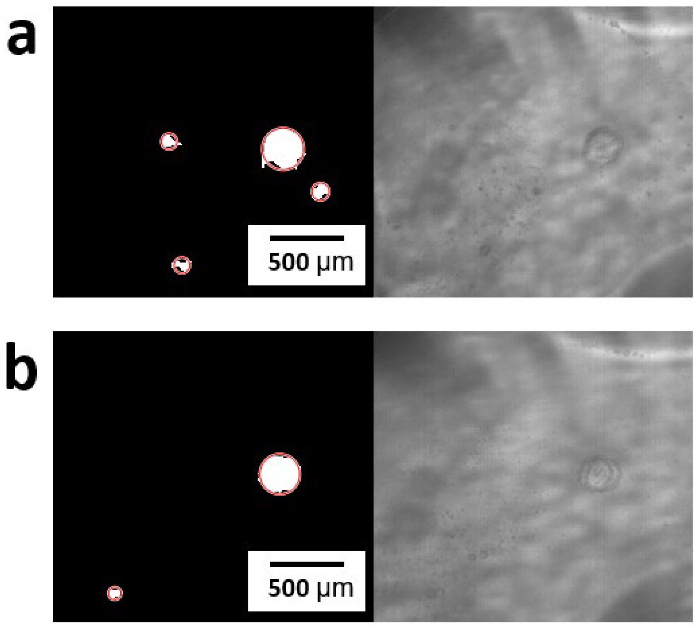 Metals 12 00531 g012