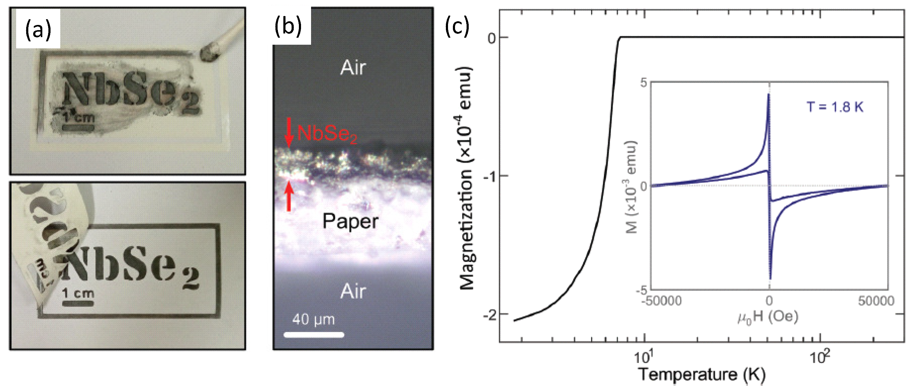 Metals 12 00568 g005