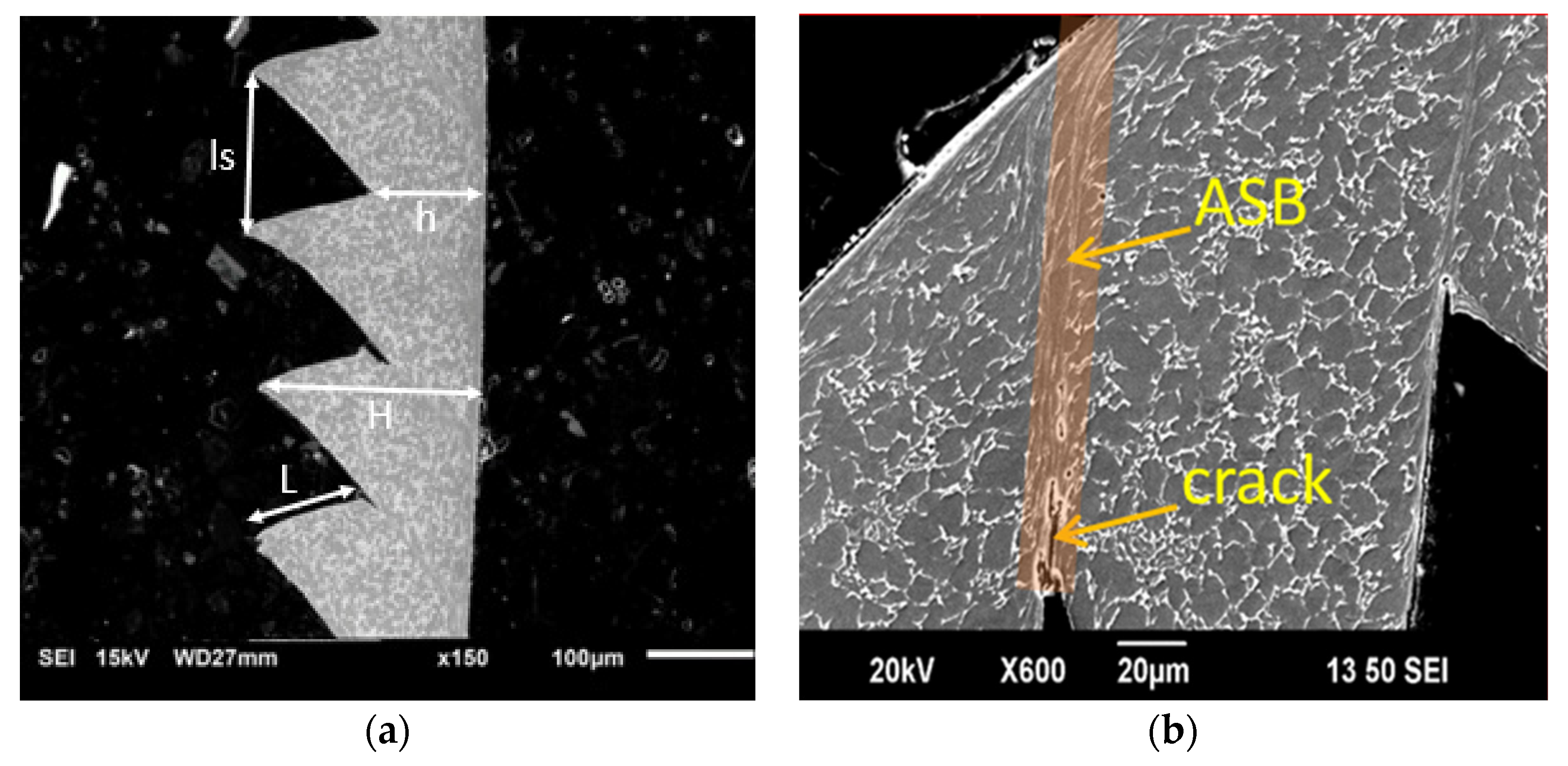 Metals 12 00581 g002