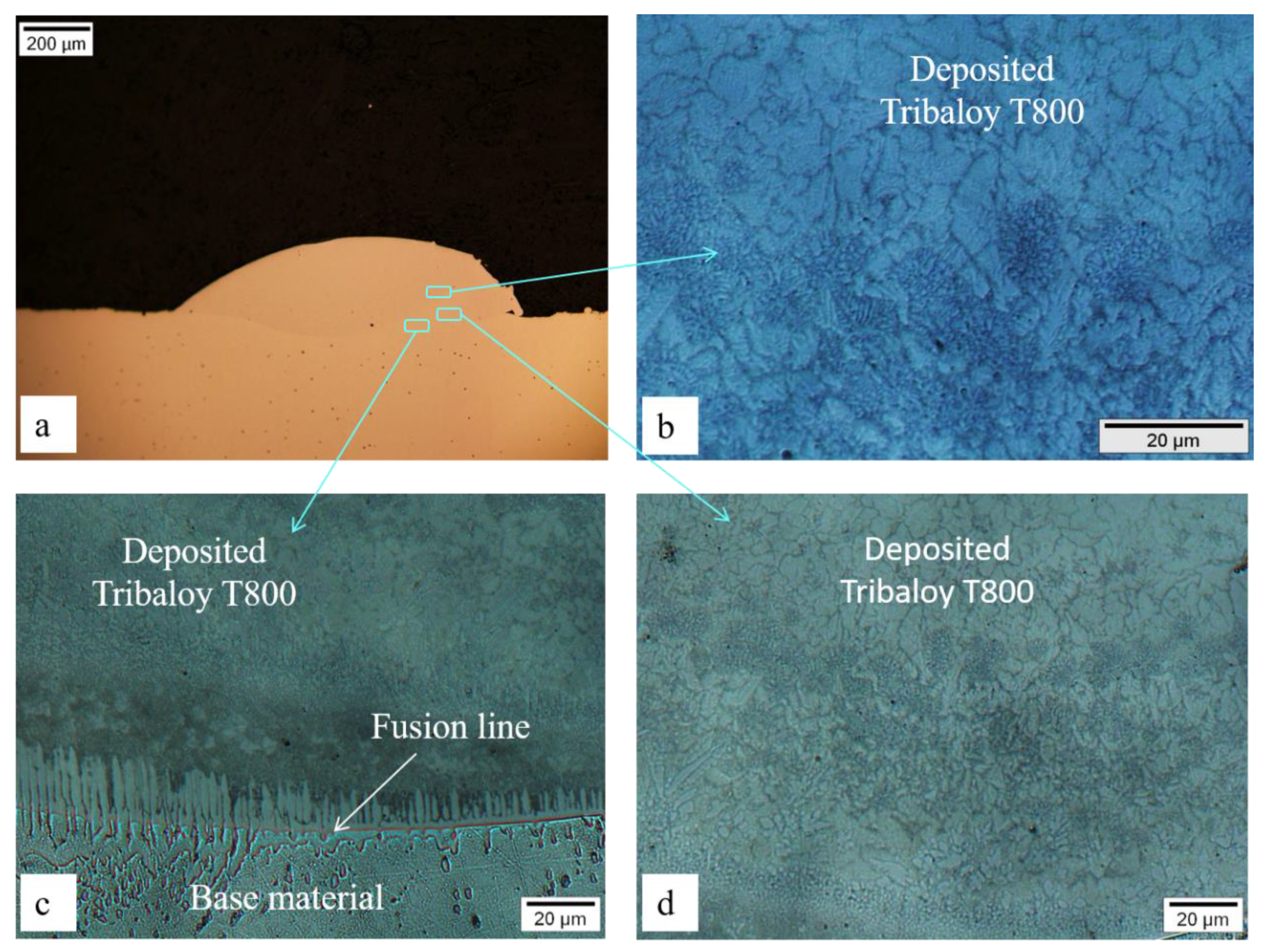 Metals 12 00586 g006