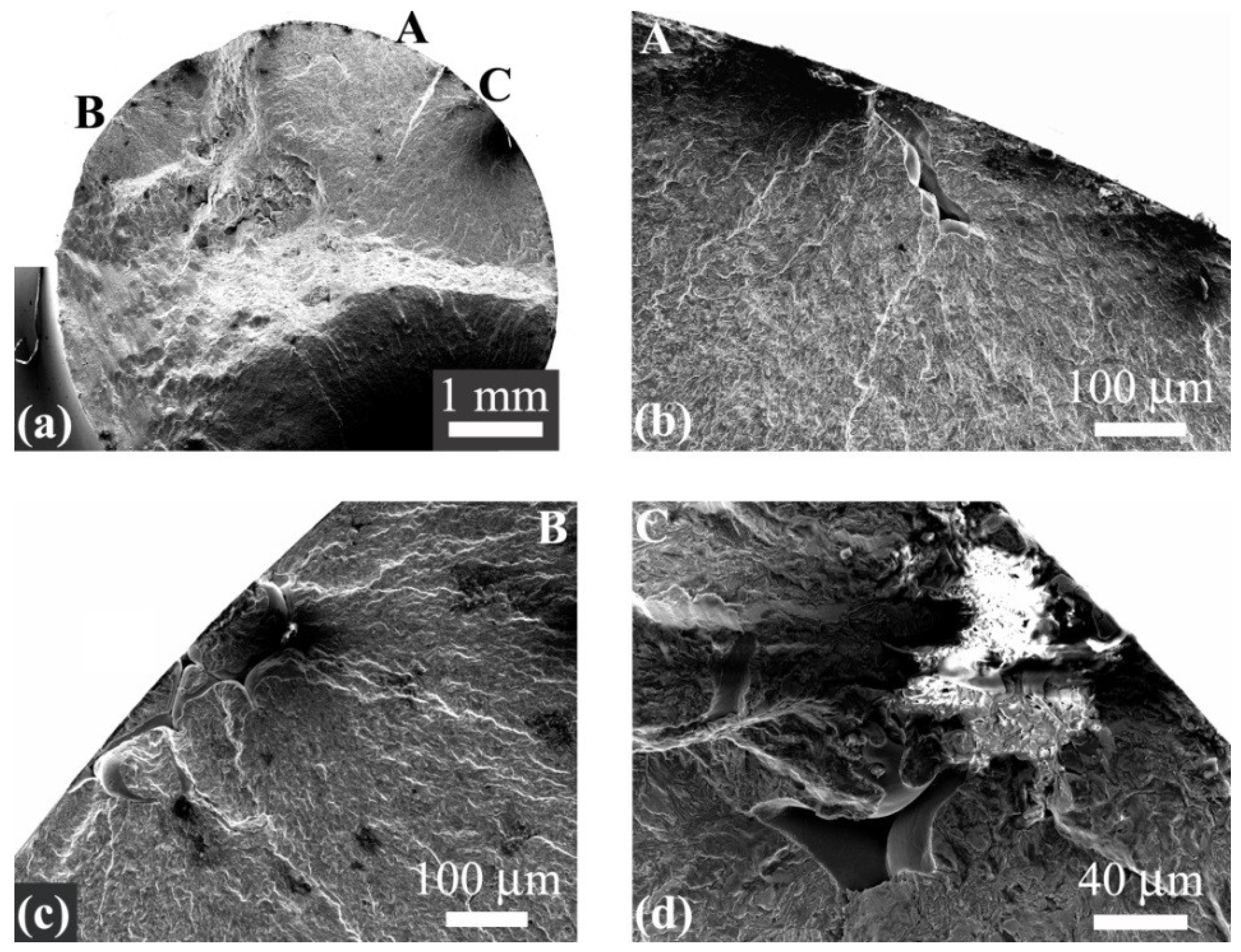 Metals 12 00652 g005