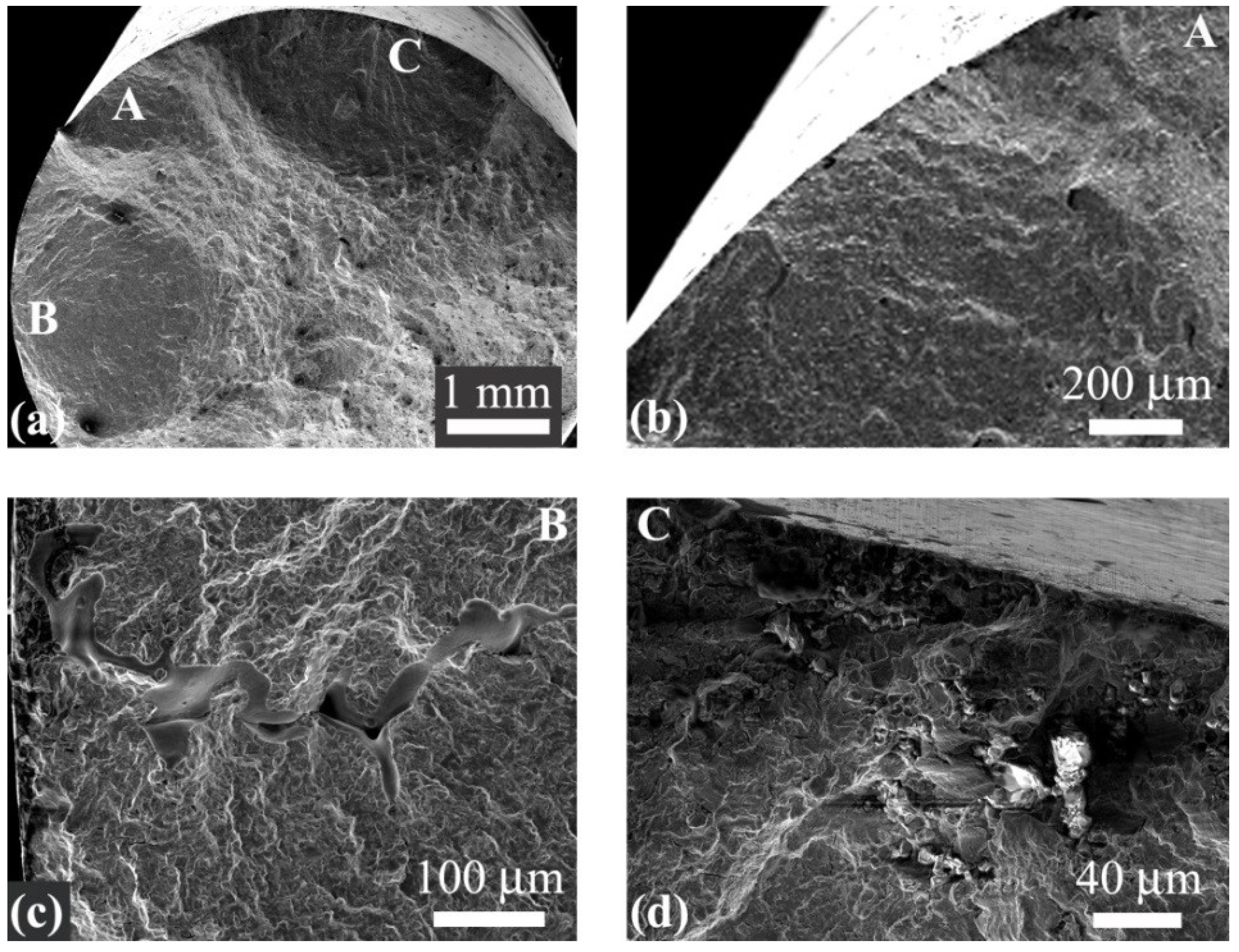 Metals 12 00652 g007