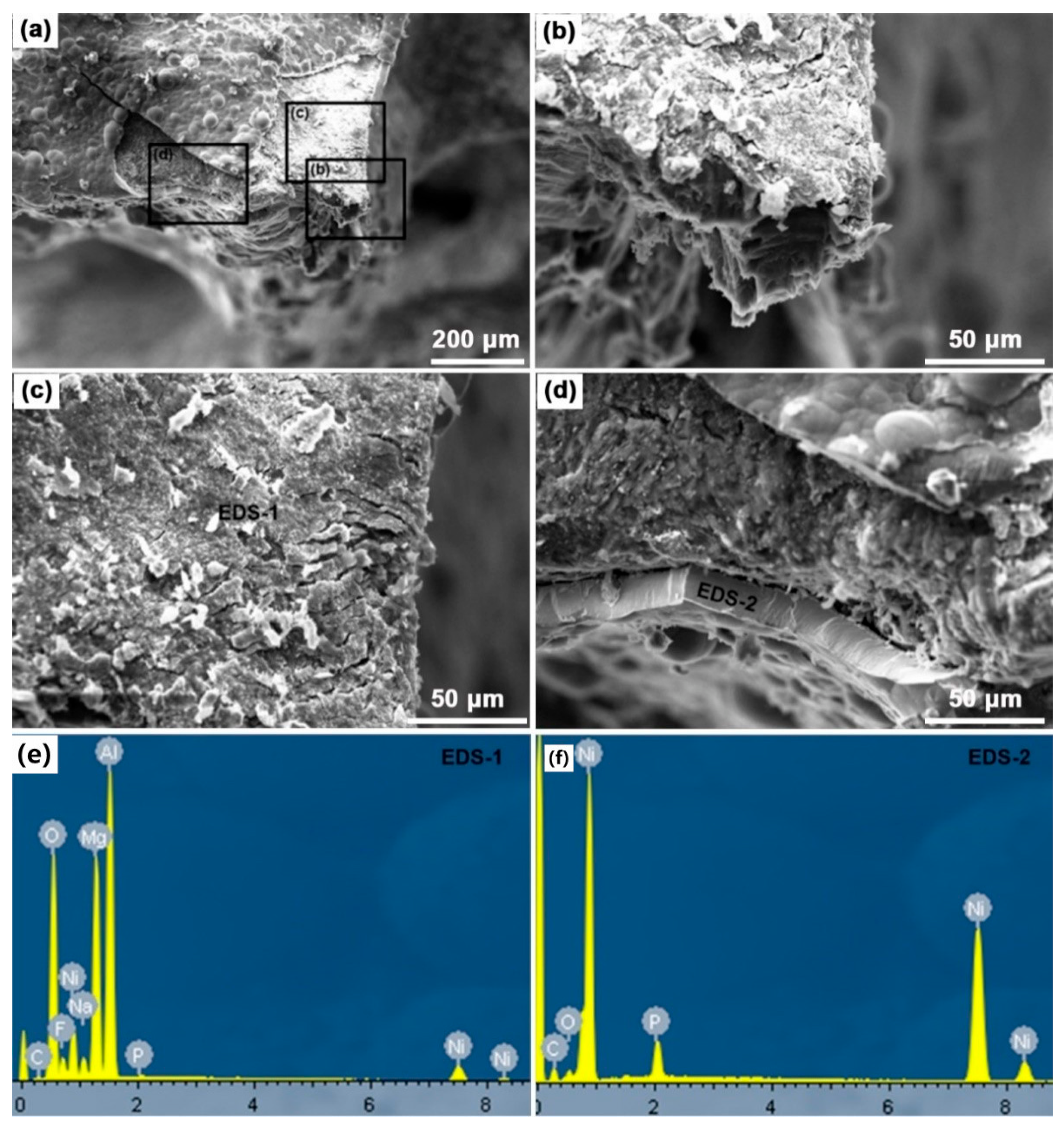 Metals 12 00689 g010