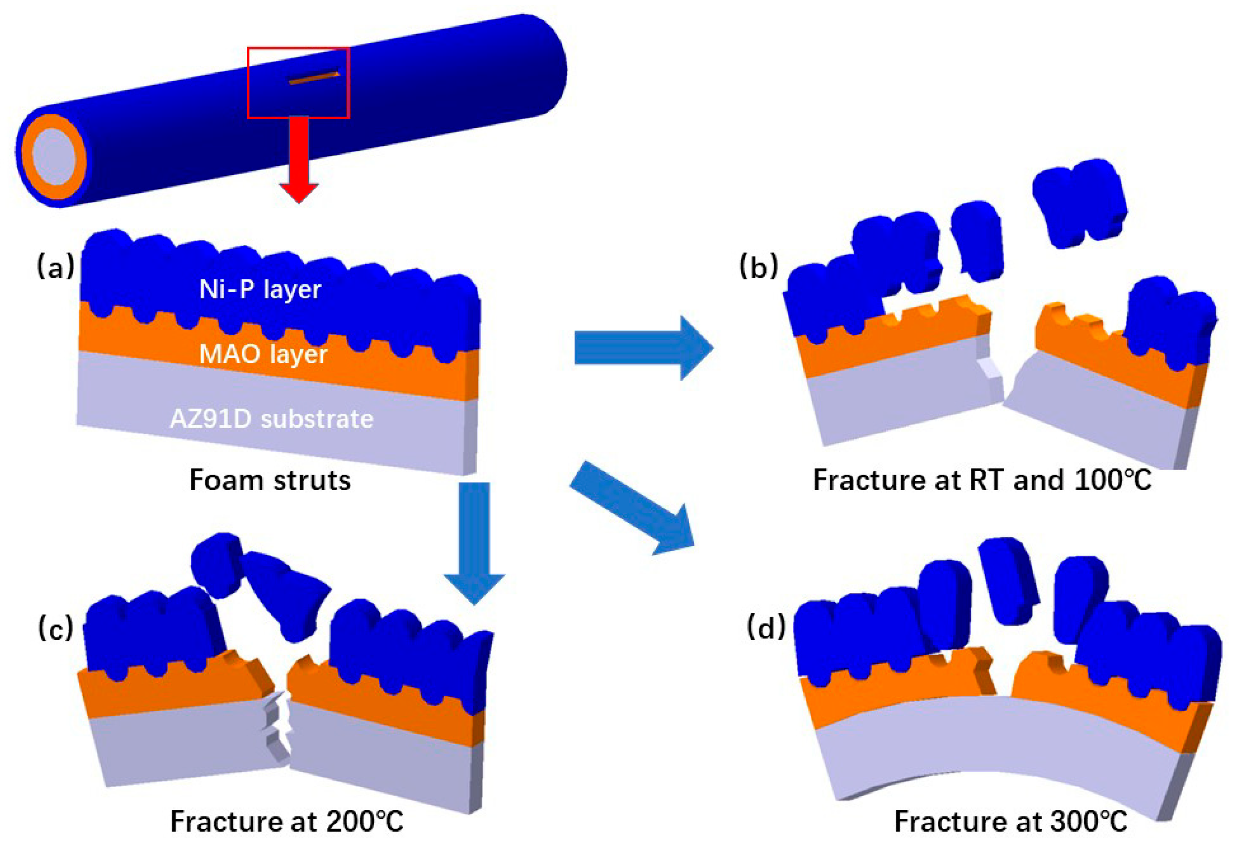 Metals 12 00689 g012