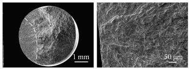 Metals 12 00736 i003