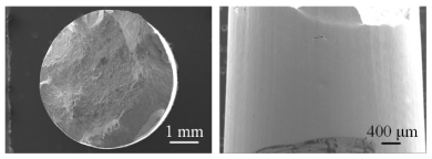 Metals 12 00736 i012