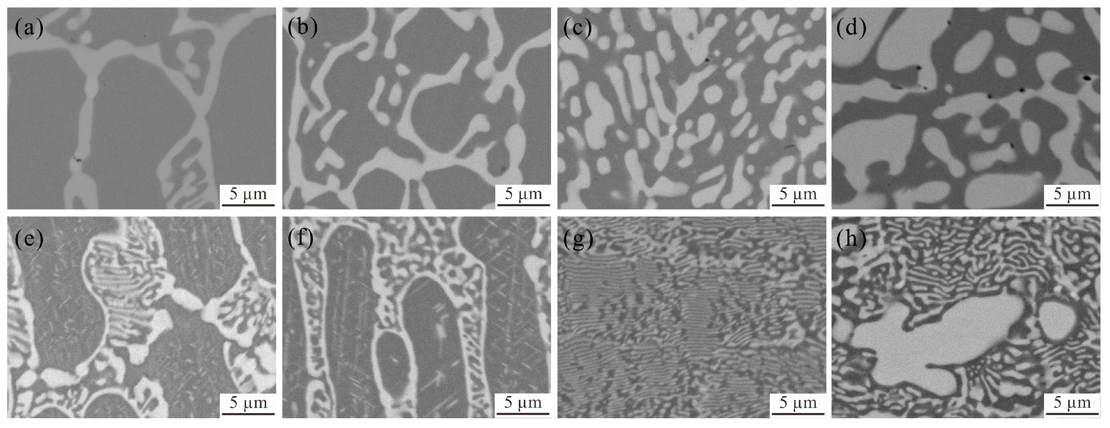 Metals 12 00756 g007