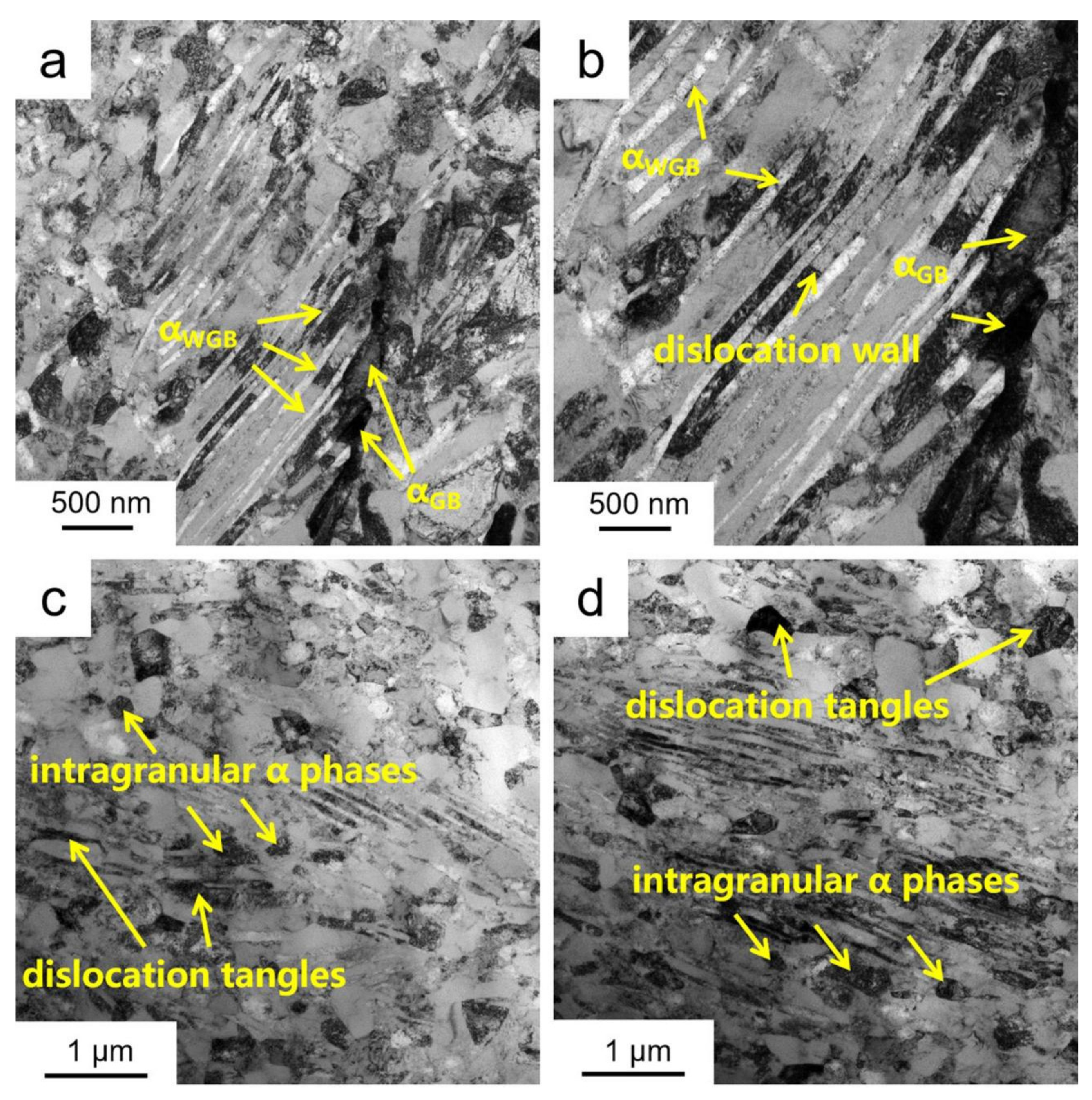 Metals 12 00770 g007