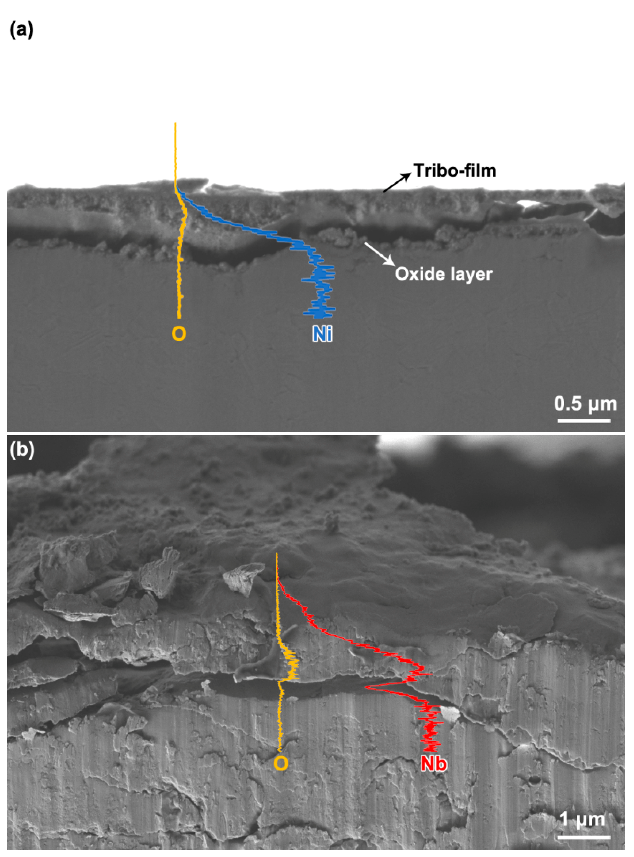 Metals 12 00798 g008