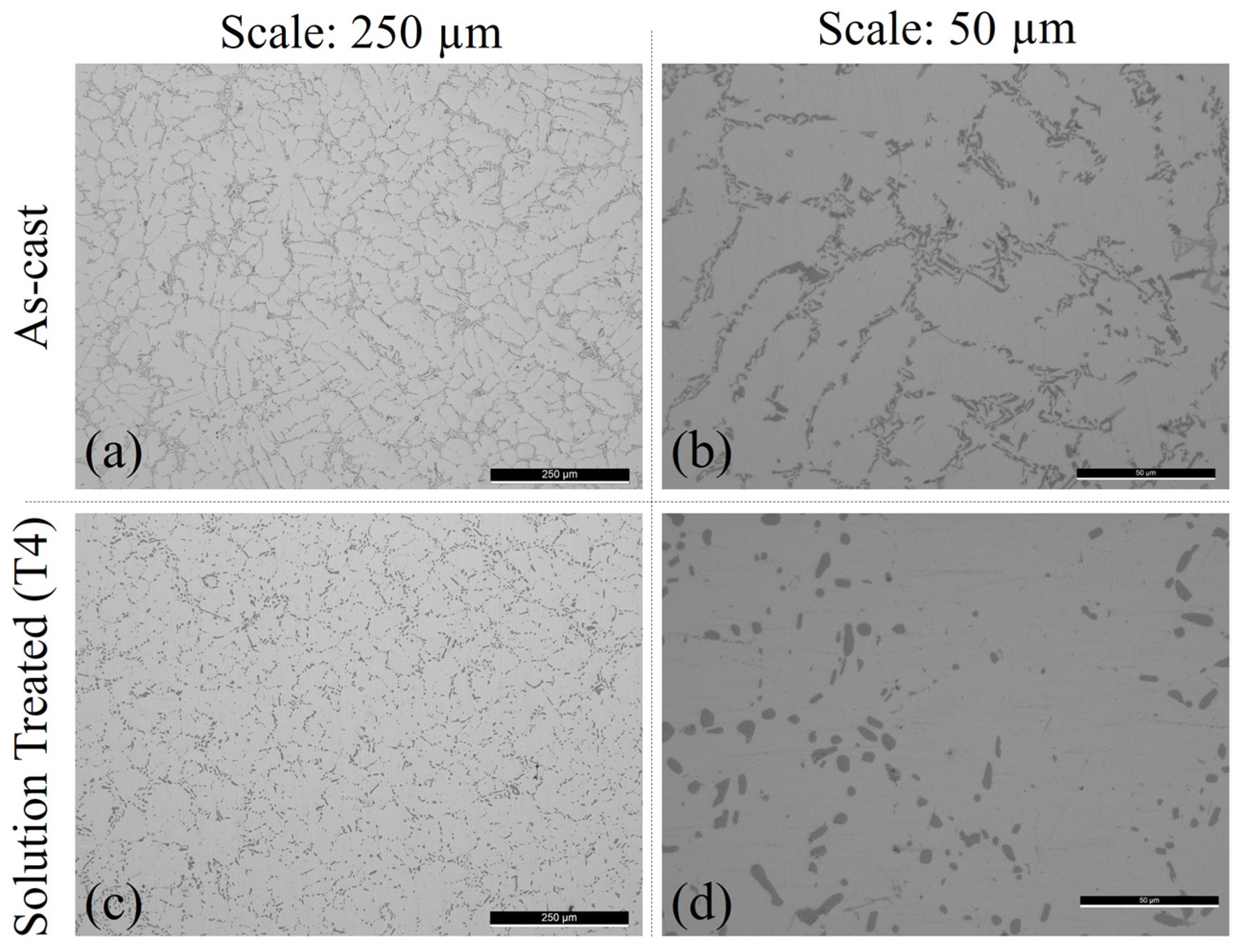 Metals 12 00804 g001