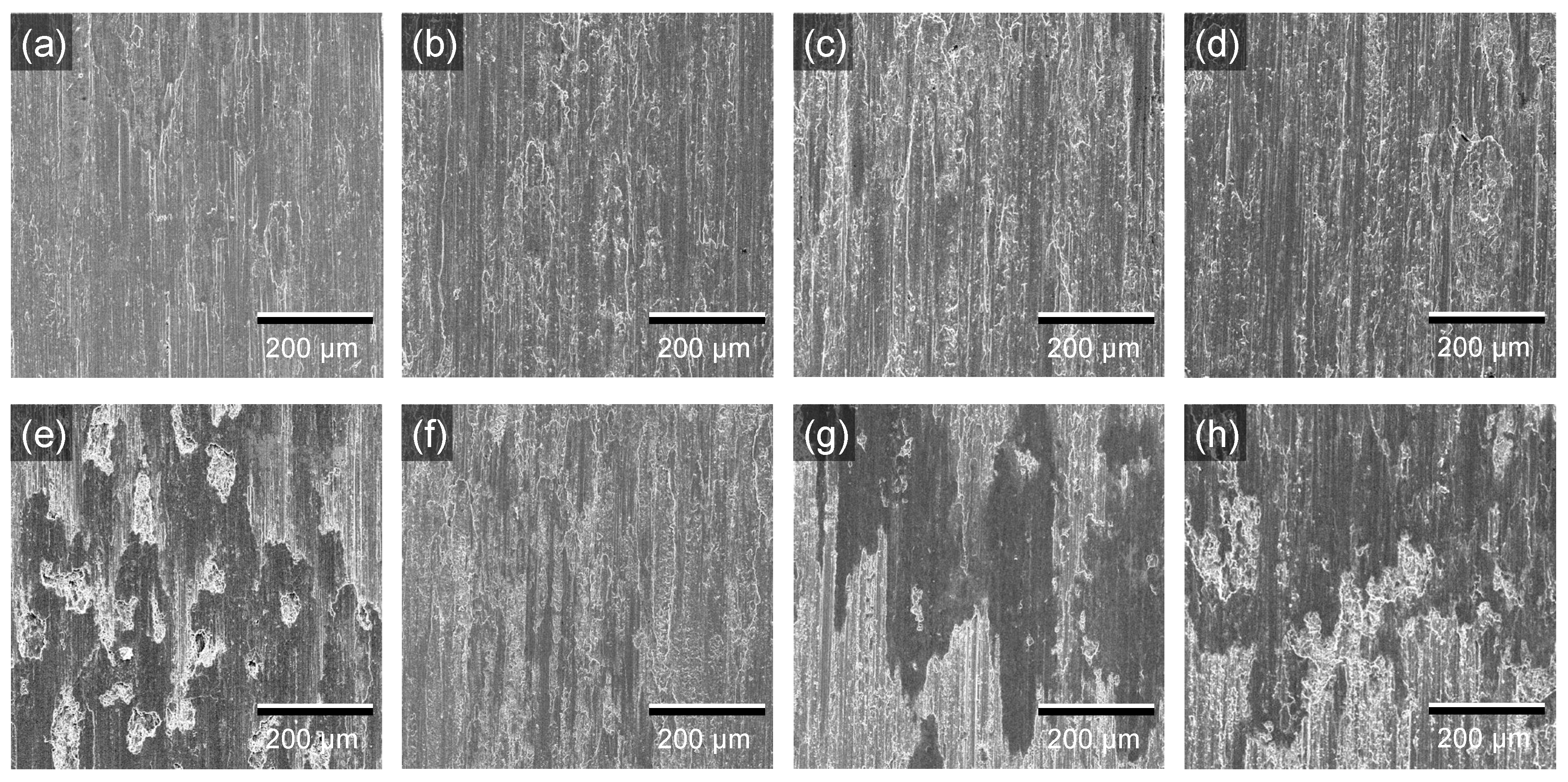 Metals 12 00861 g006