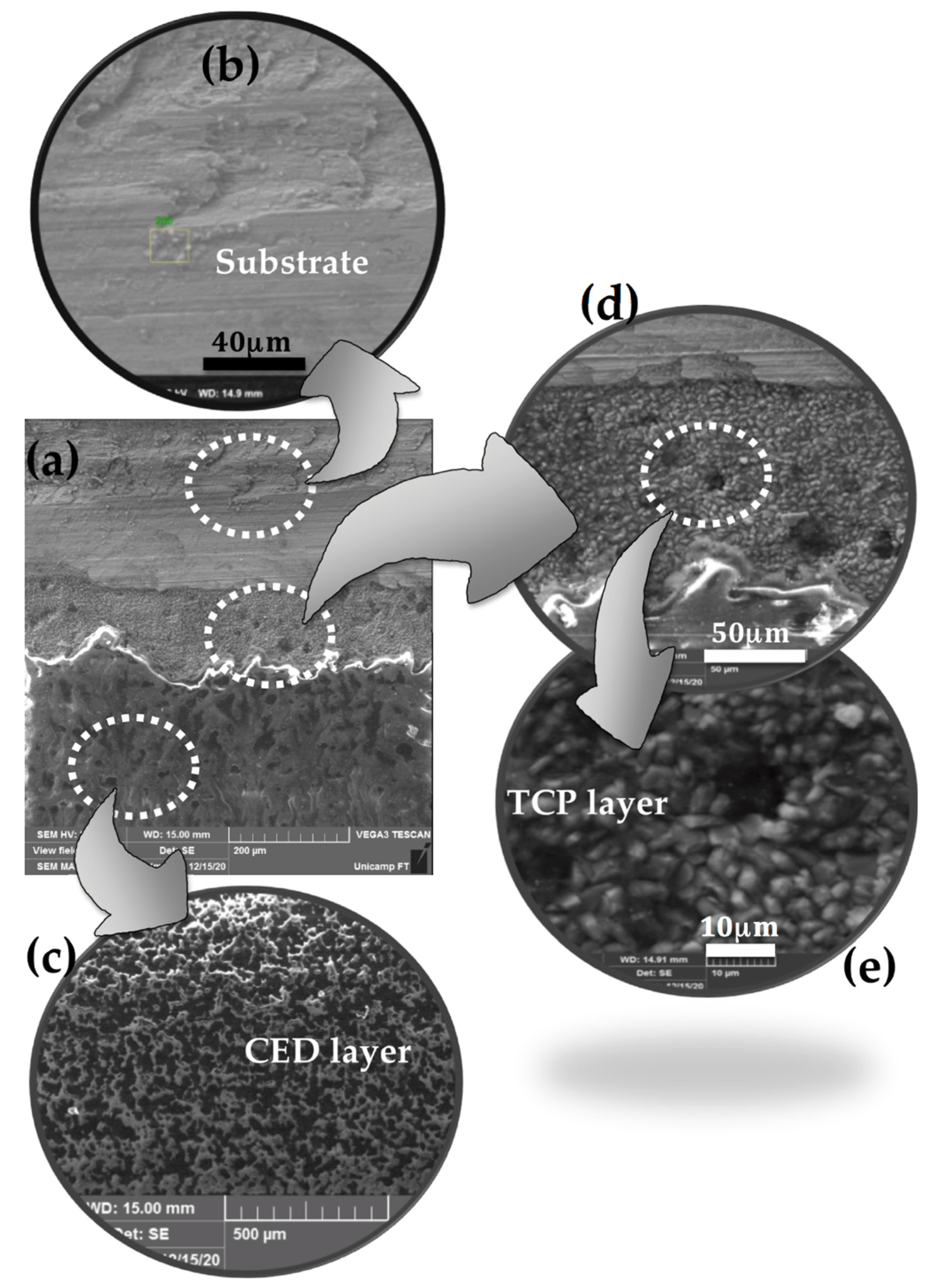 Metals 12 00863 g008