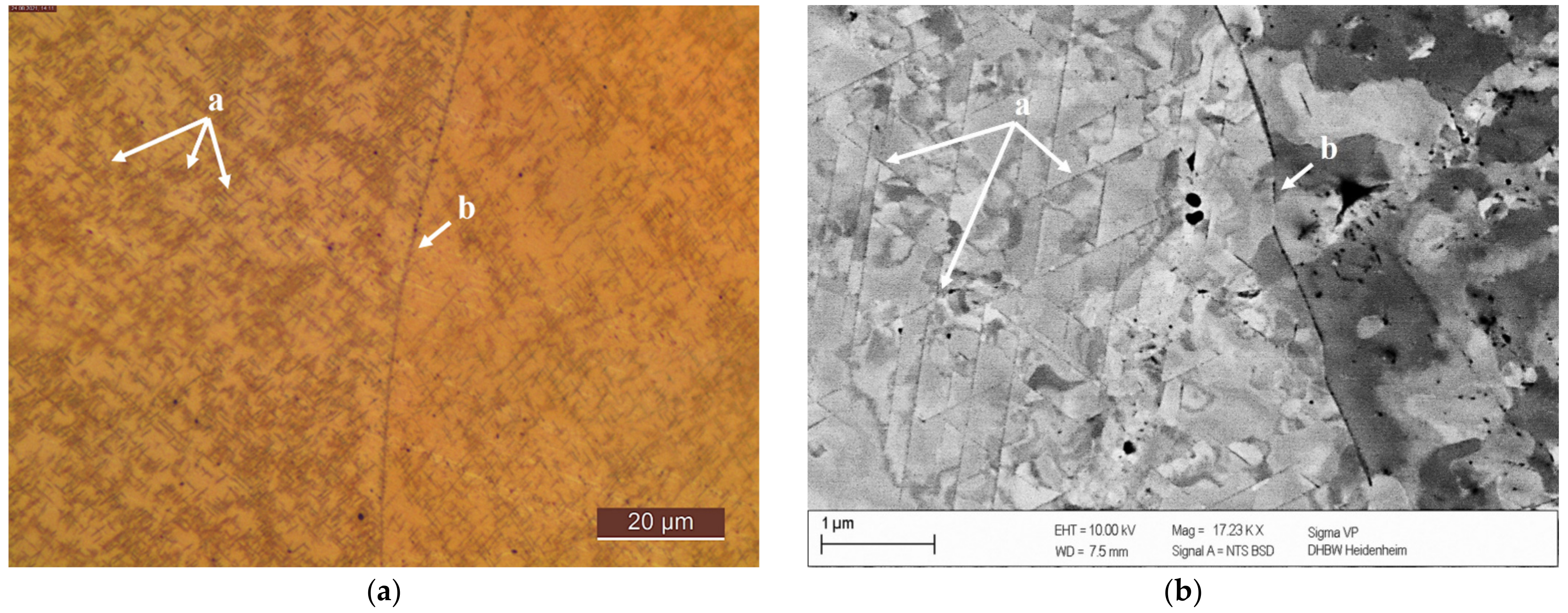 Metals 12 00902 g007