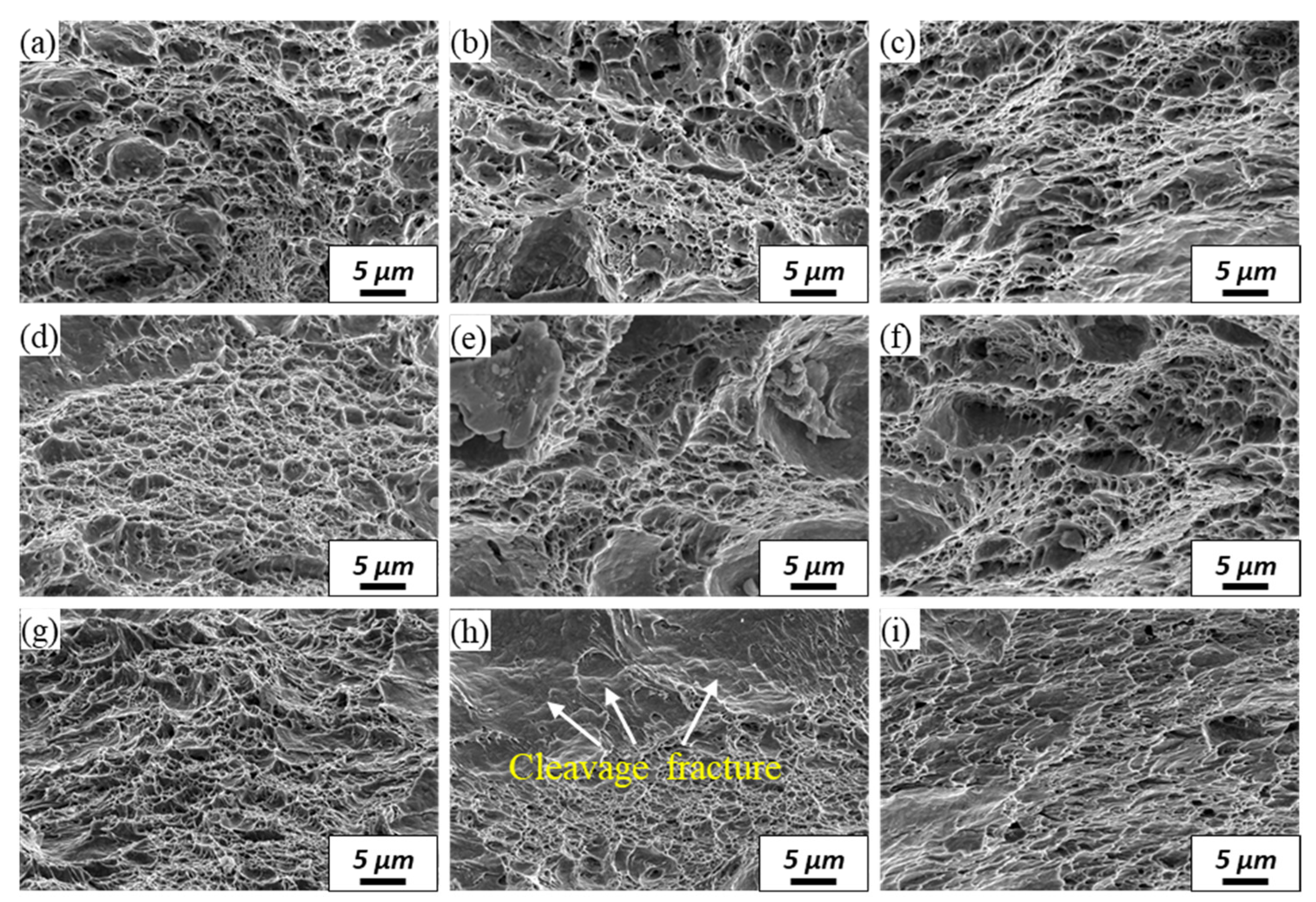 Metals 12 00914 g007