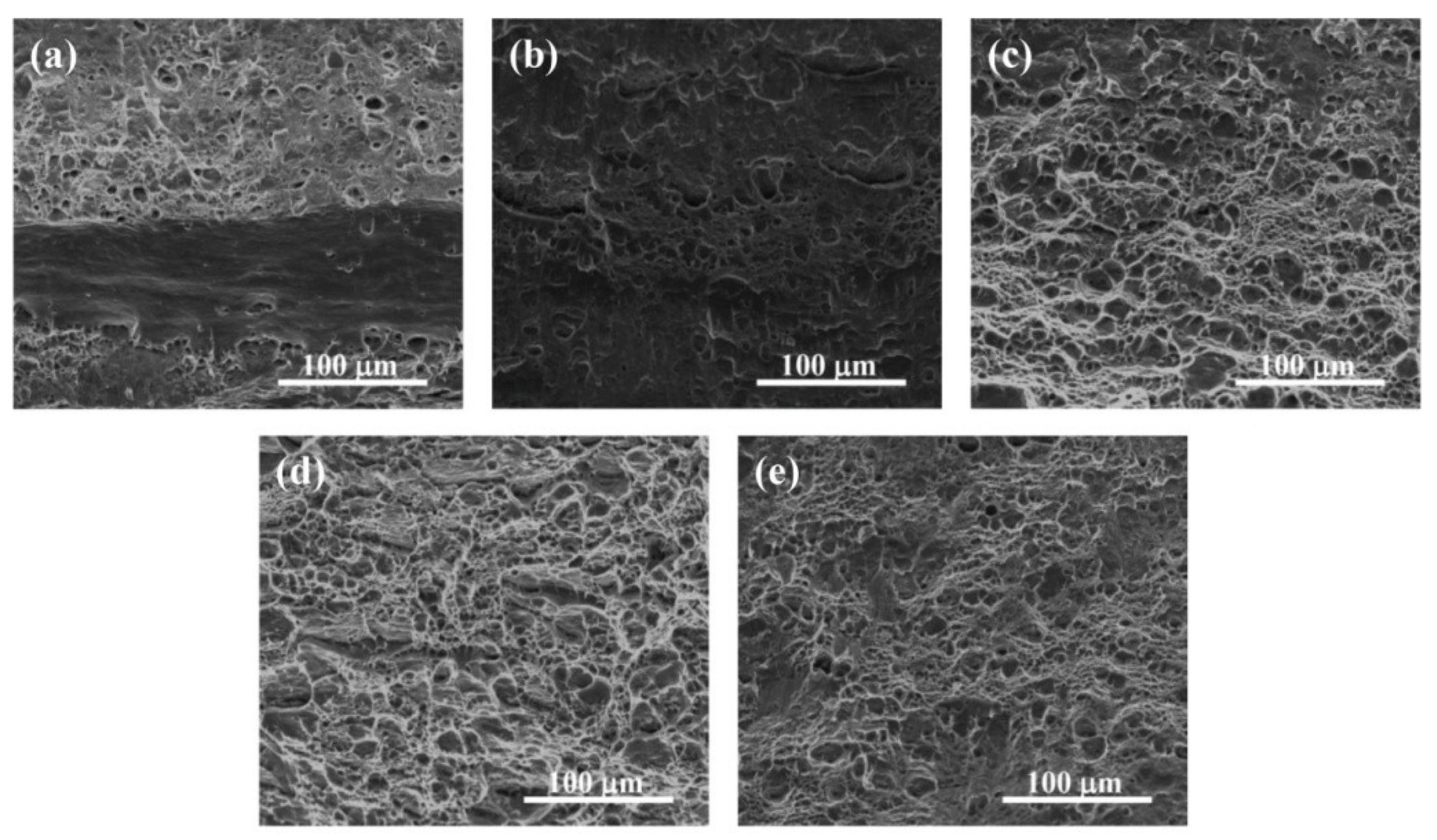 Metals 12 00941 g008