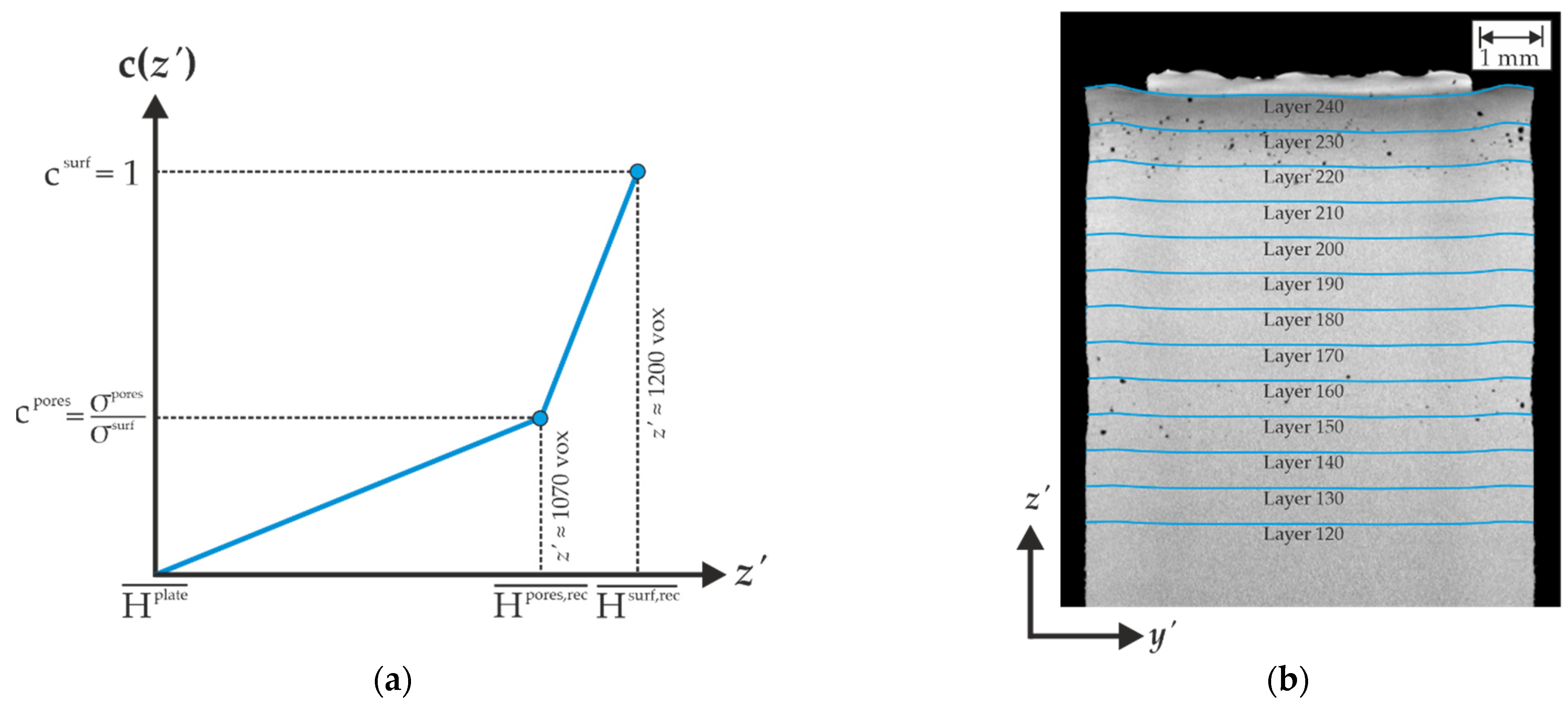 Metals 12 00947 g006
