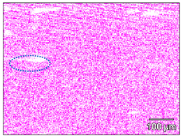 Metals 12 00950 i012