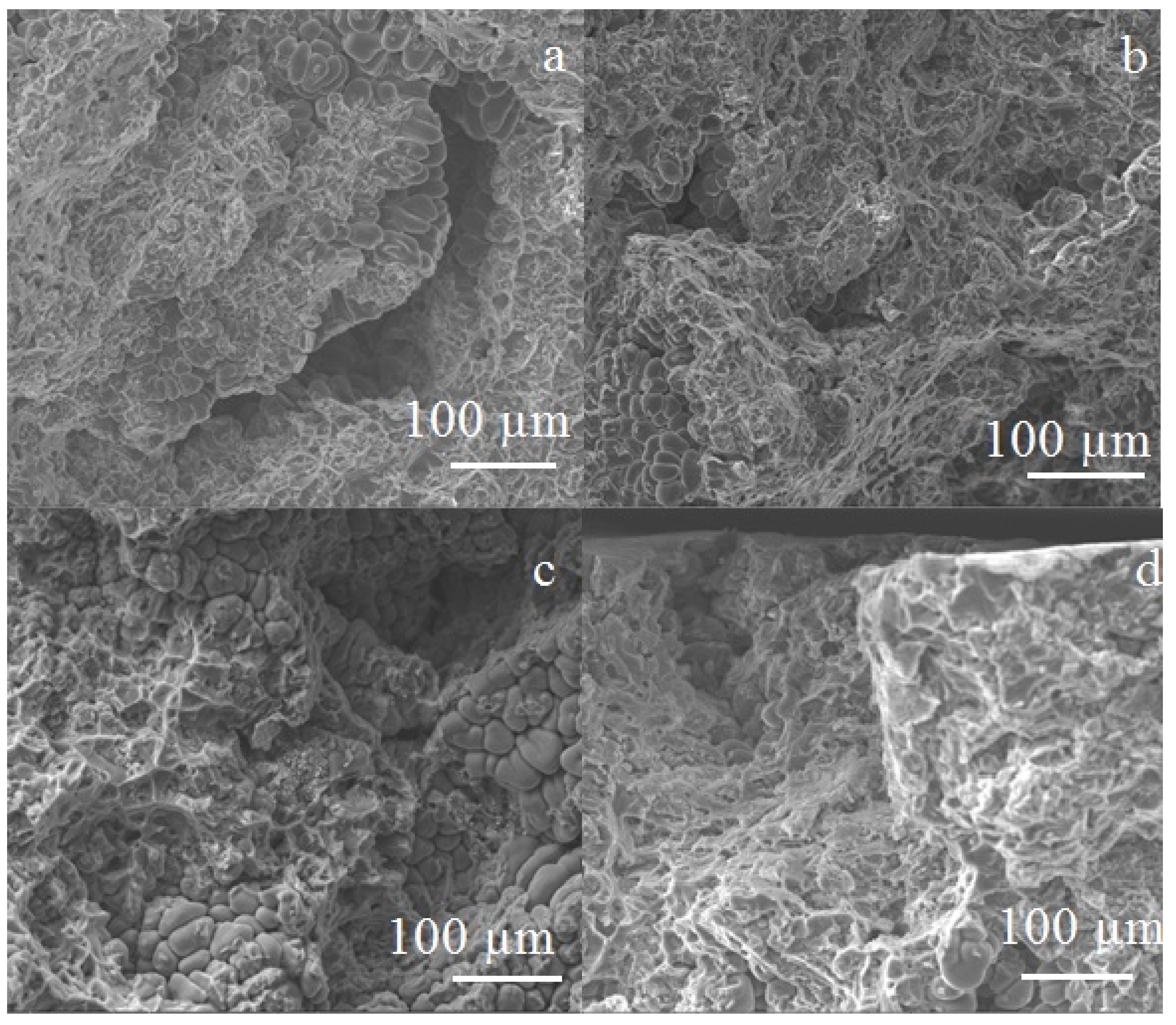 Metals 12 00989 g007