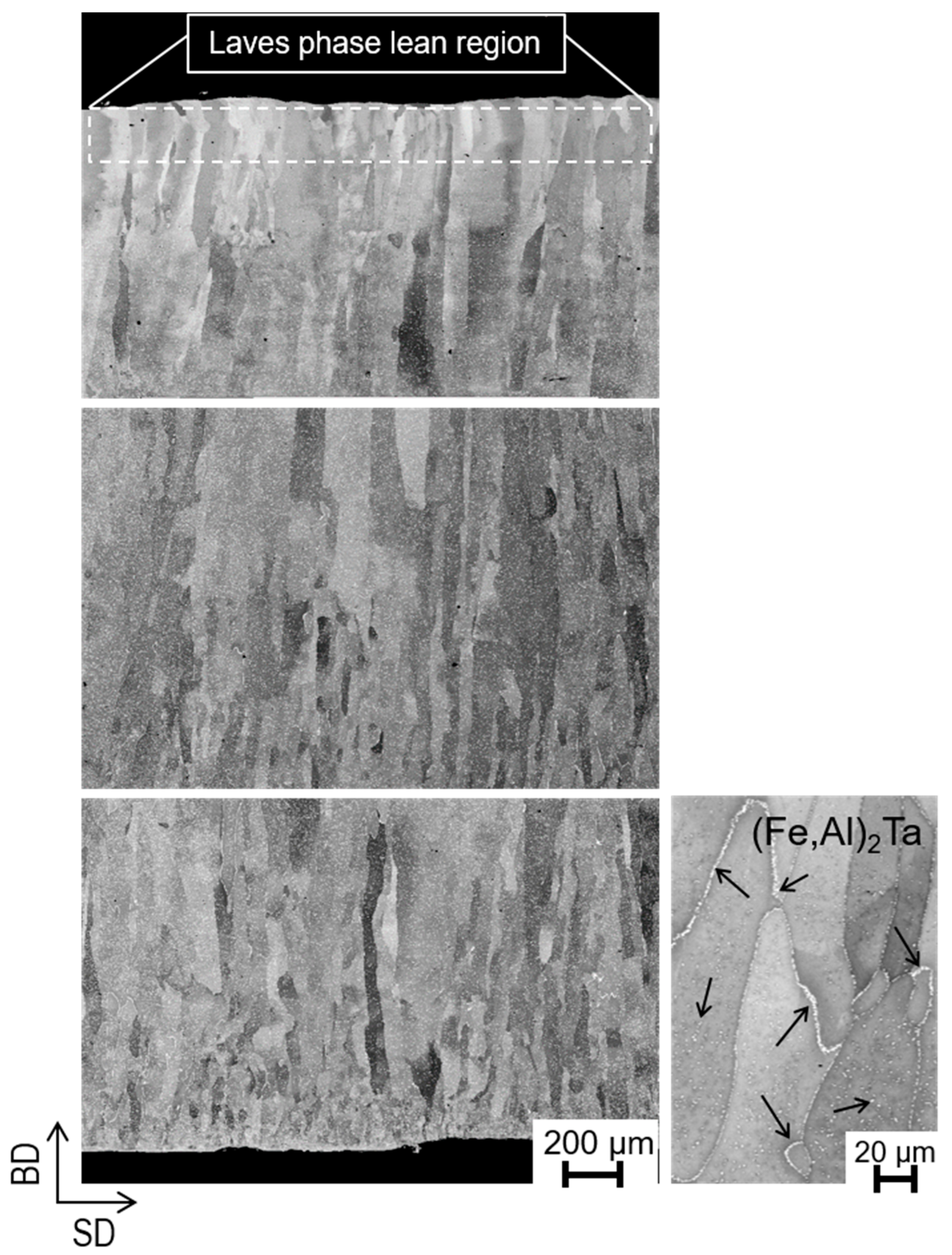 Metals 12 00997 g005