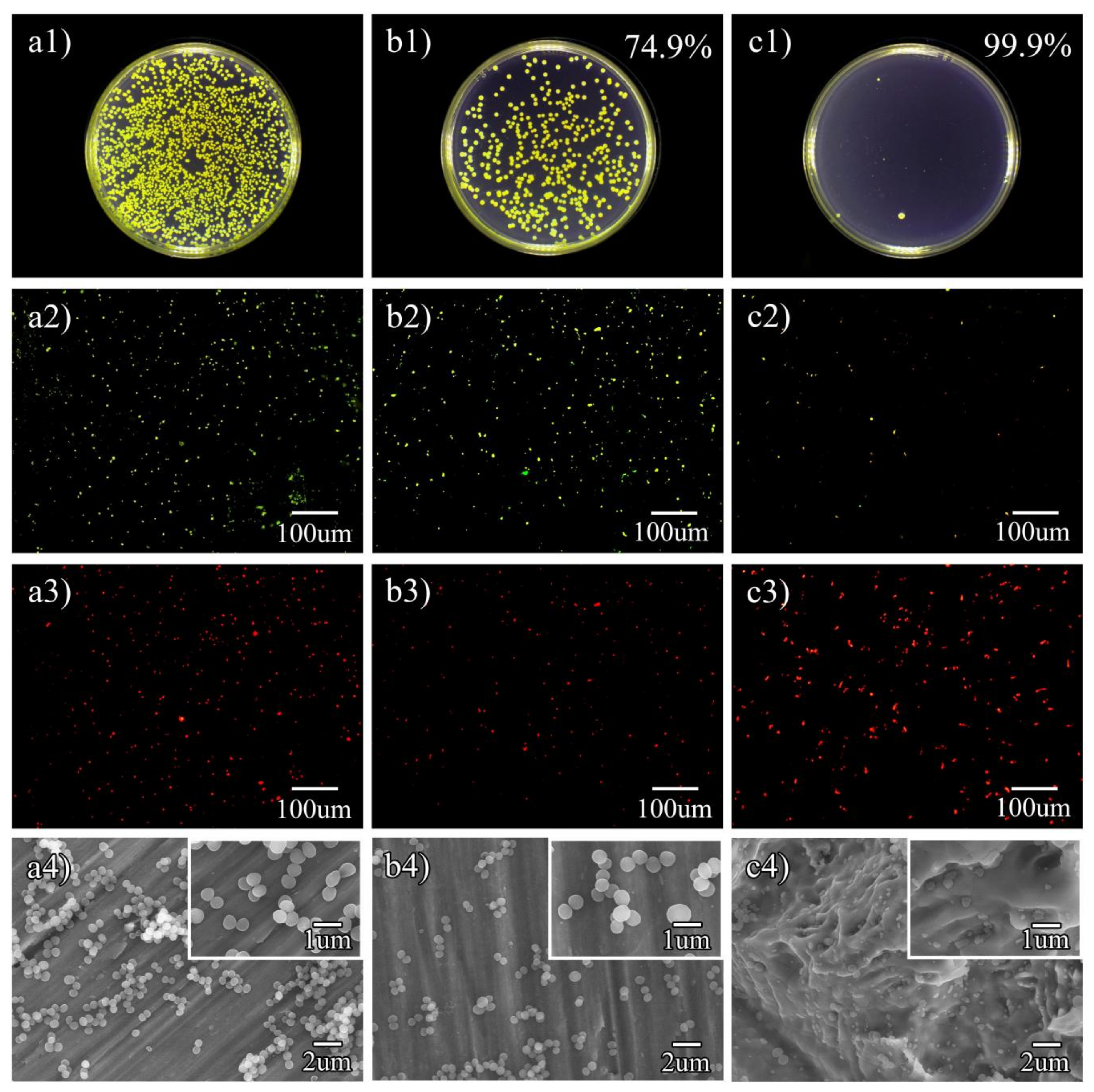 Metals 12 01008 g005