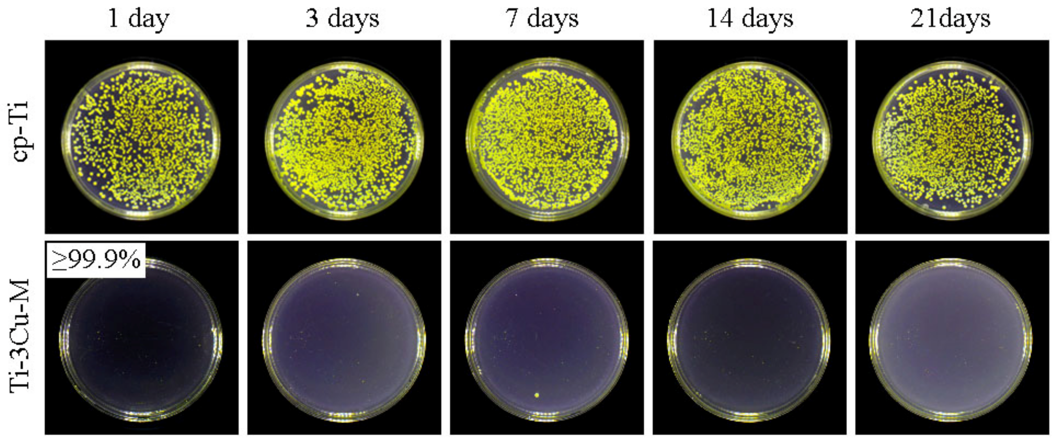 Metals 12 01008 g006