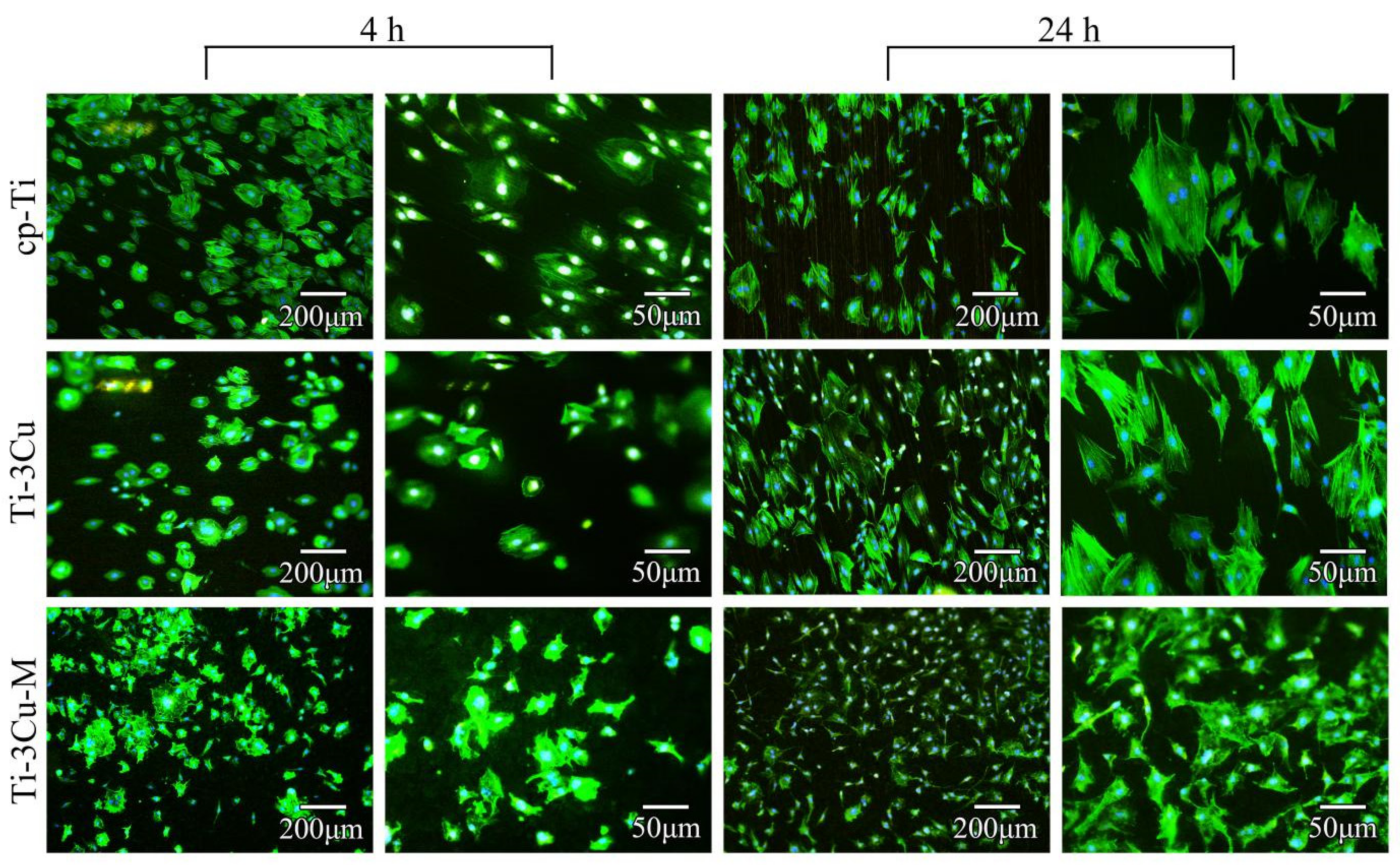 Metals 12 01008 g008
