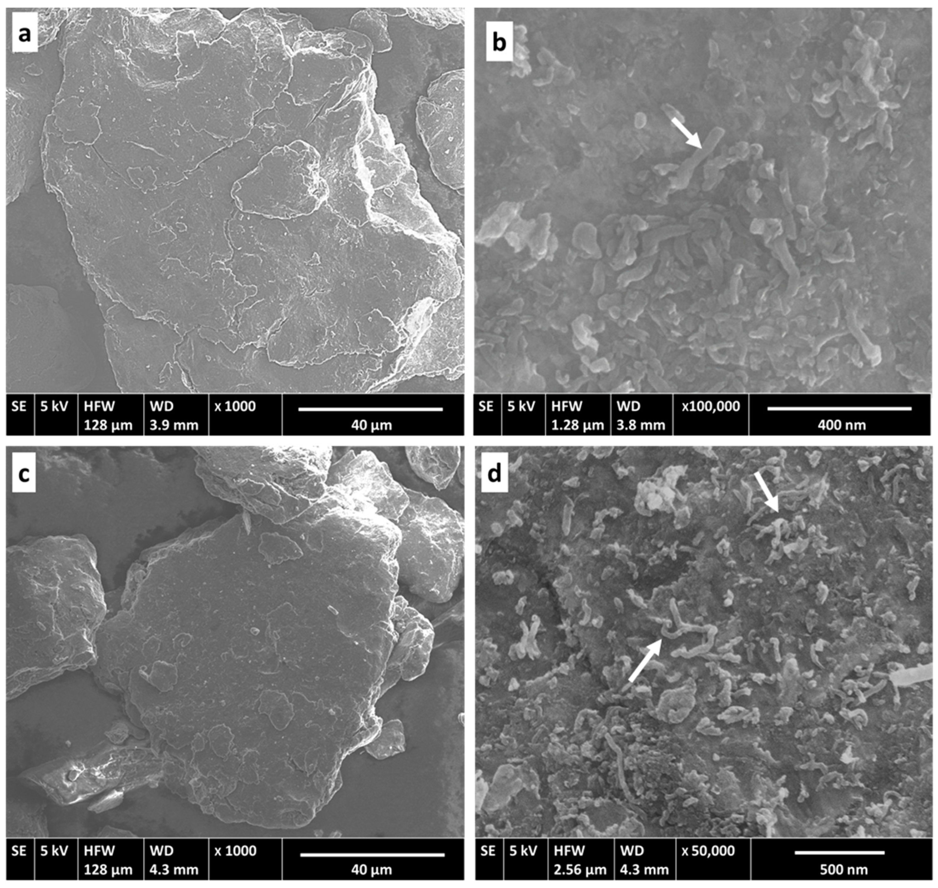 Metals 12 01020 g011